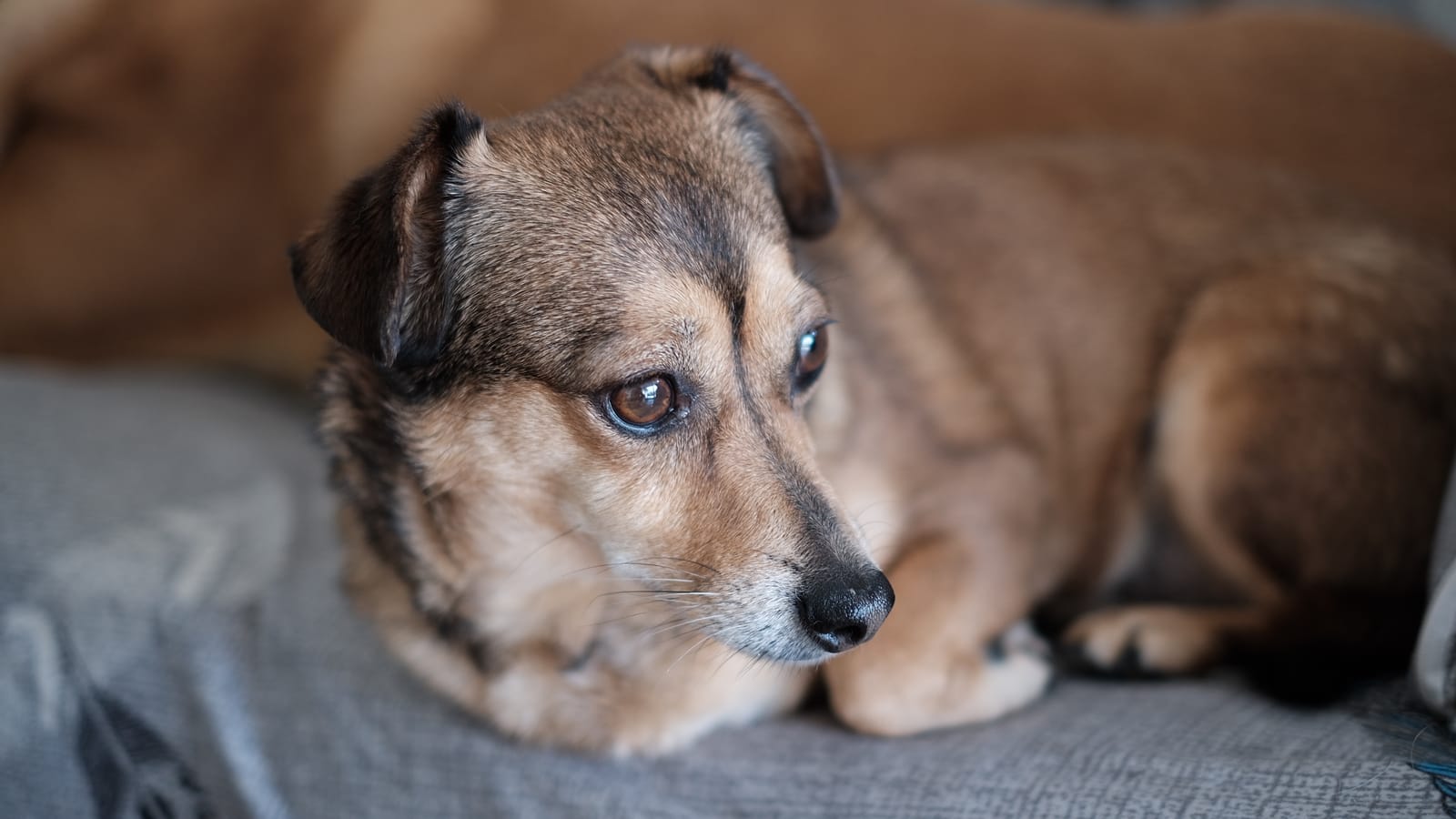 Fujifilm XF35mmF1.4 R customer photo 1