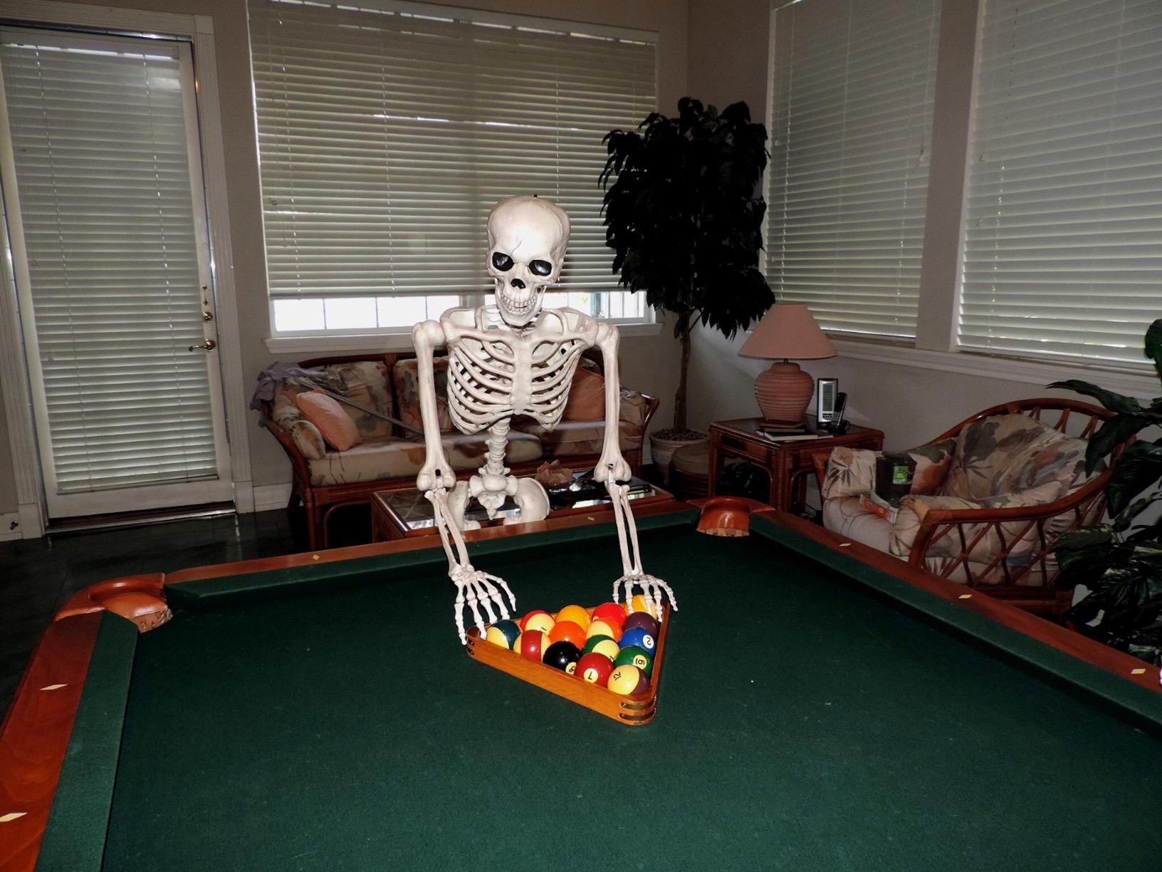 Crazy Bonez Original Pose-N-Stay Halloween Skeleton, 5 FT – Life-Size customer photo 1