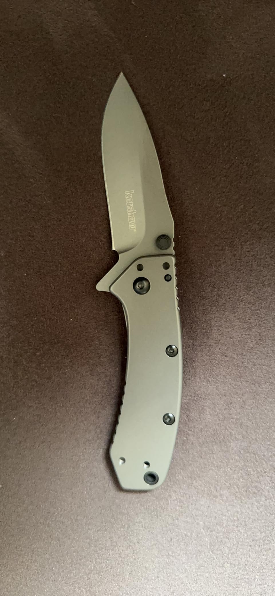 Kershaw Cryo Pocket Knife, EDC Knife with Speedsafe Assisted Opening, 2.75 Inch Stainless Steel Blade, Multiple Styles customer photo 2