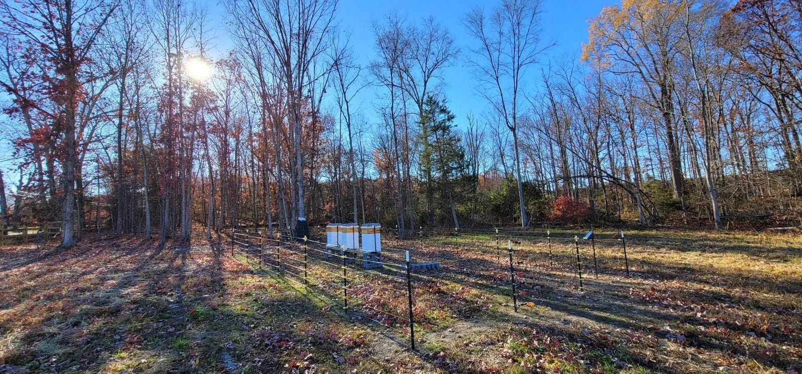 Zareba 10 Mile Solar Powered Low Impedance Electric Fence Charger | Contain Cattle, Horses, Goats, & Livestock, 0.15 Output Joules, Built-in Mounting Bracket for Posts, ESP10M-Z customer photo 1