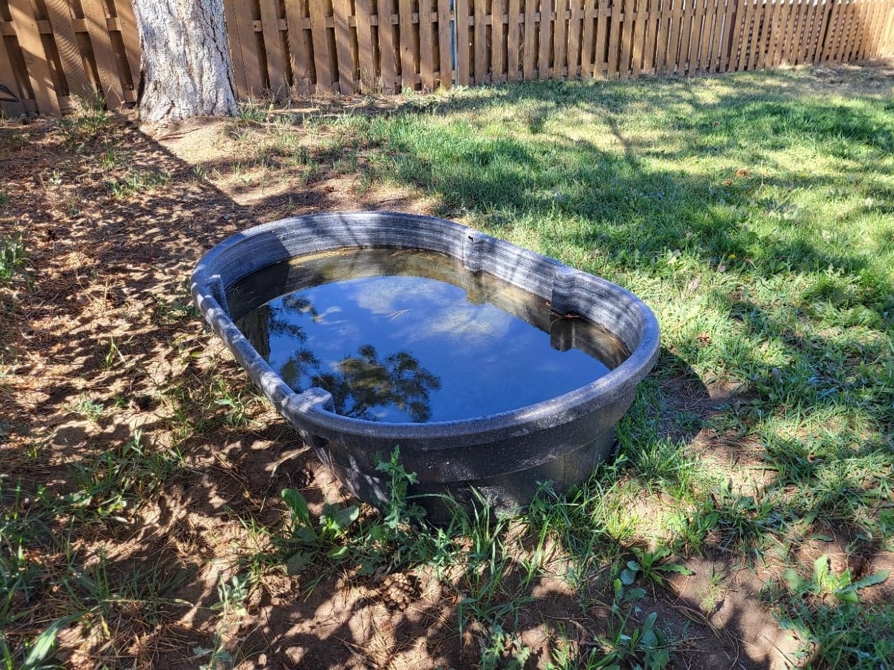 Rubbermaid Commercial Products Stock Tank 100-Gallons Structural Foam Heavy Duty Container for Livestock/Animal/Cattle Feed & Water Outdoor Homemade Pool/Hot Tub/Bathtub & Pet Cleaning/Dog Wash customer photo 2