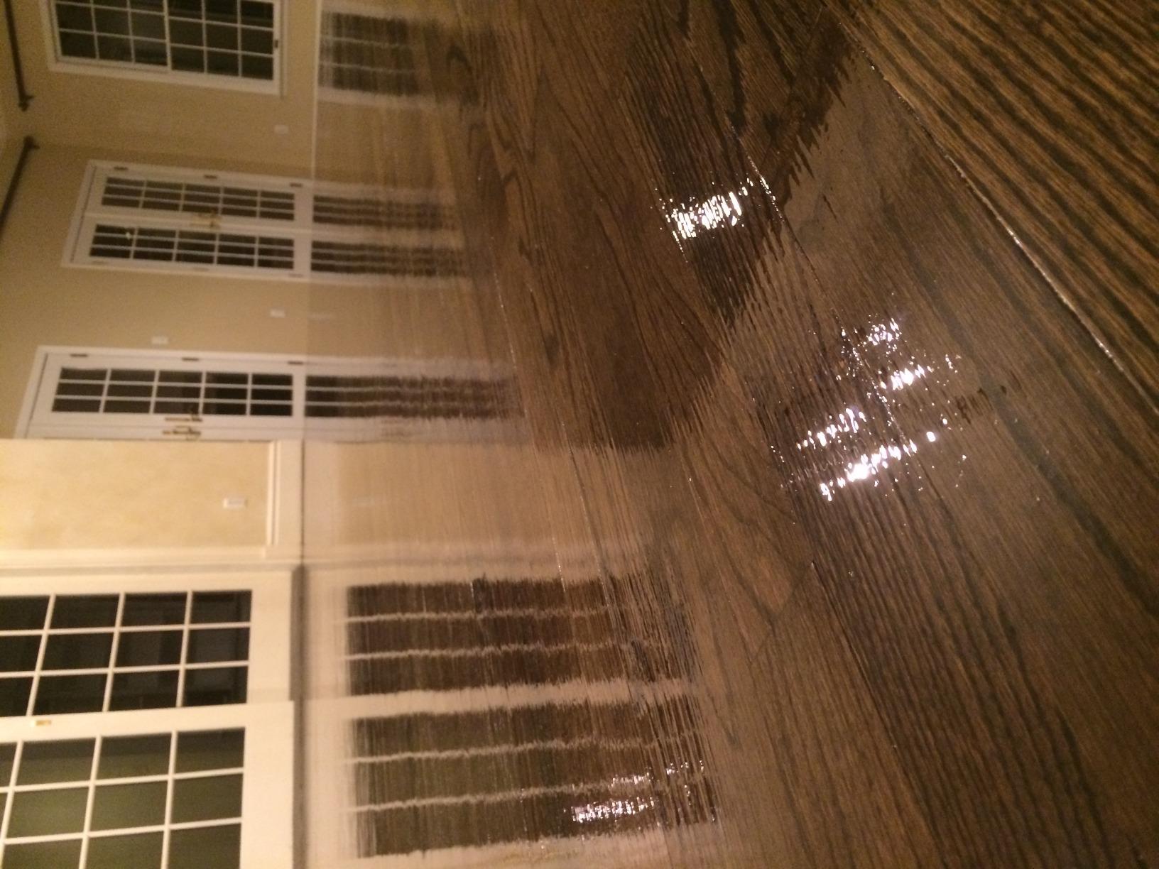 Clarke American Sanders - American B2 Edger customer photo 2