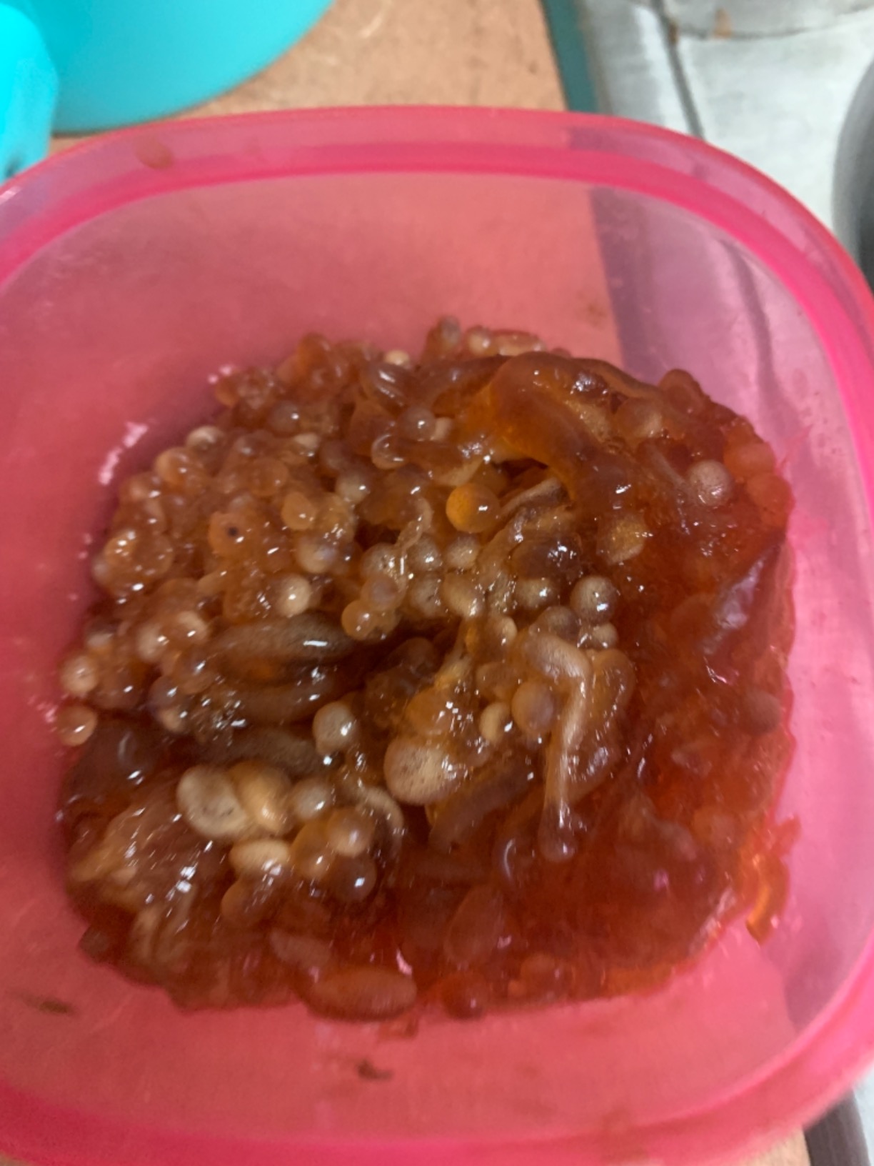 Spherification Kit [Molecular Gastronomy] - Non-GMO Vegan OU Kosher Certified Ingredients customer photo 2