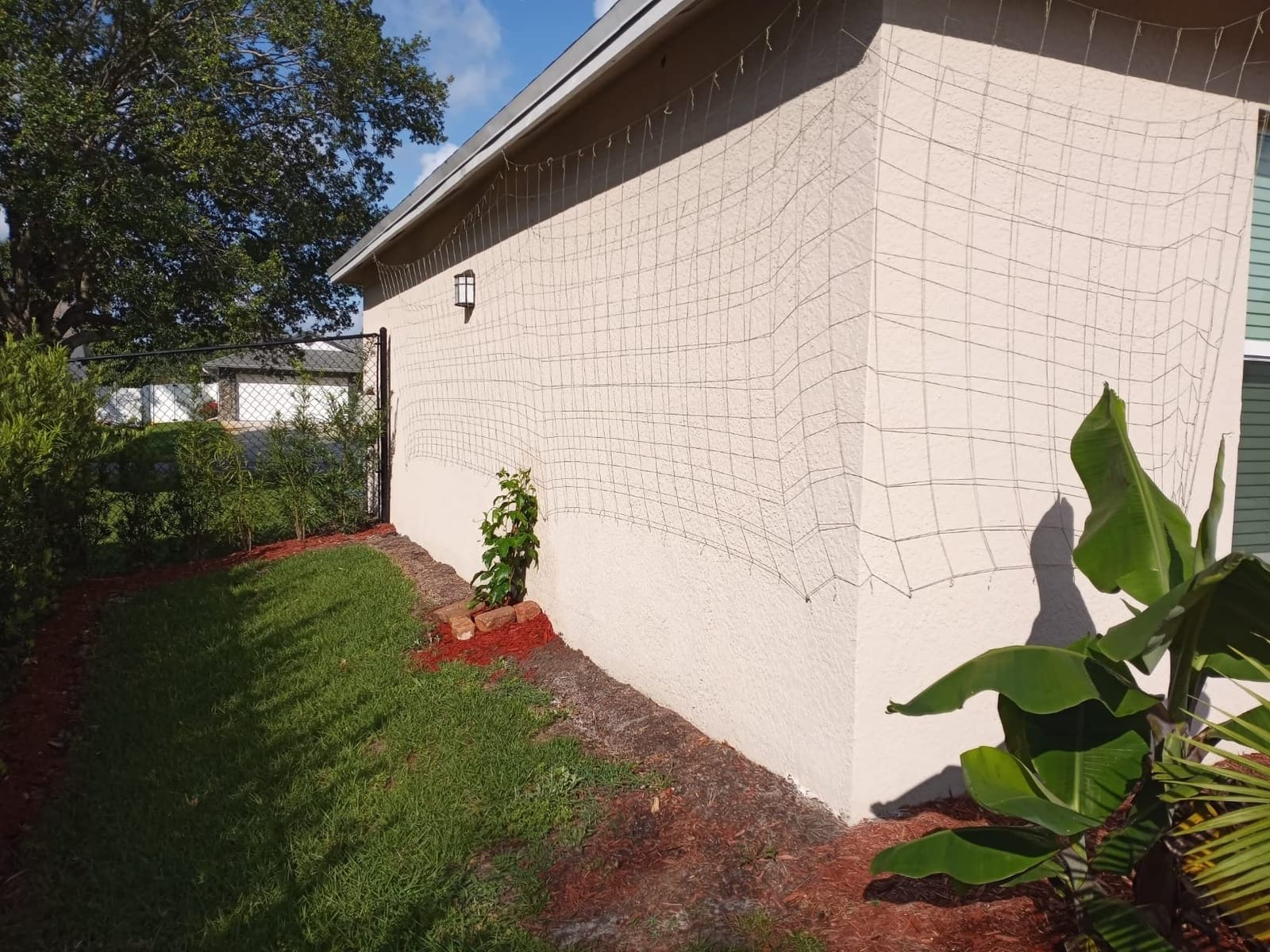 Luster Leaf 869 Vine and Veggie Trellis Net, Green, 5-Feet by 30-Feet customer photo 1