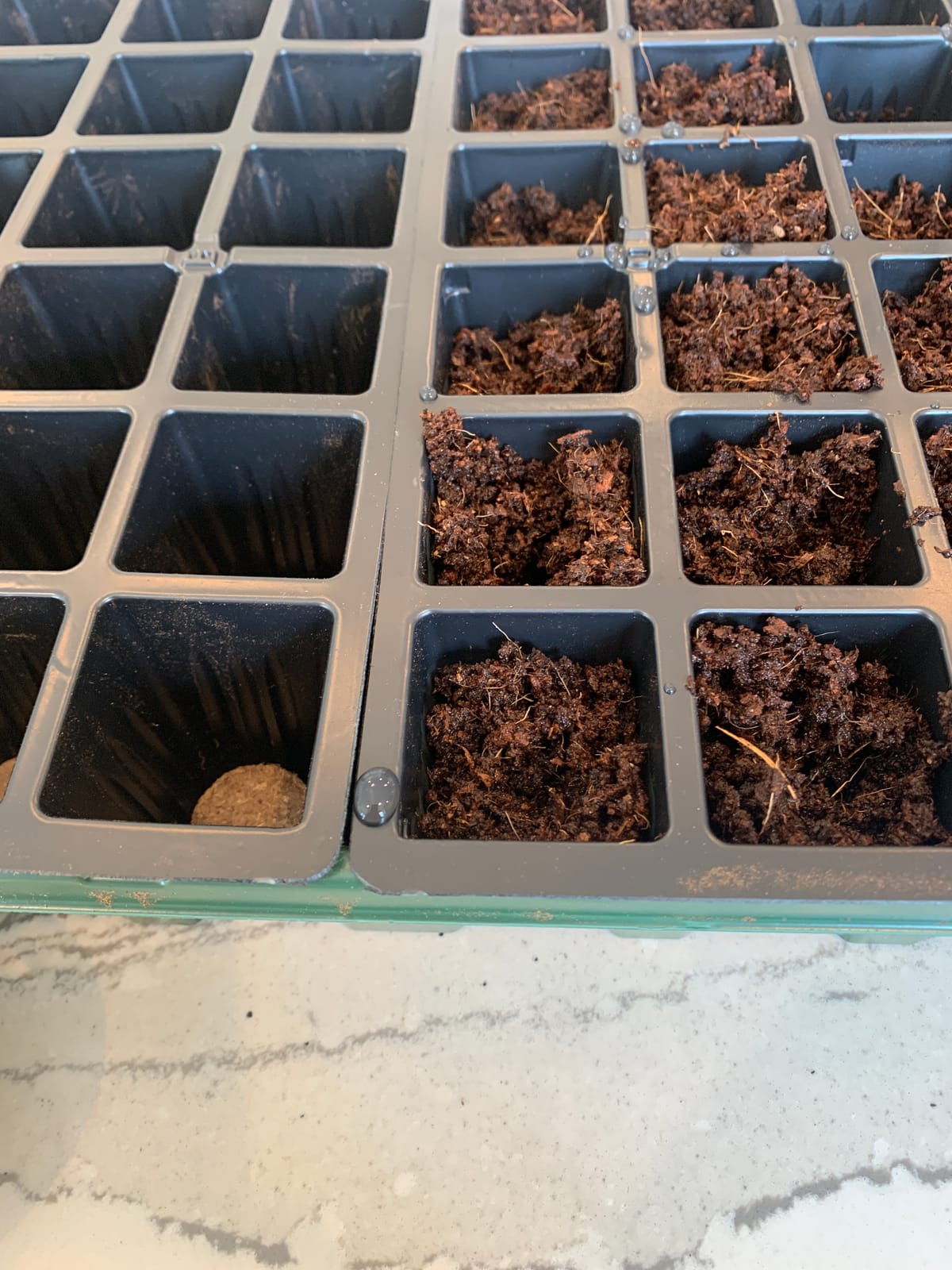 Burpee 72 Cell Seed Starting Kit with Greenhouse Dome and Coir Pellets | Indoor greenhouse kit with 72 coir pellets and humidity dome for starting vegetable, herb and flower seeds with less mess customer photo 1