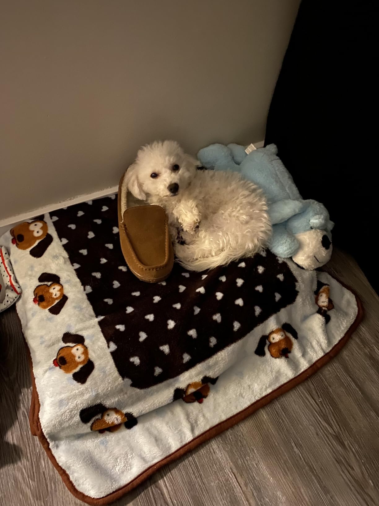 Snuggle Puppy Fleece Blanket for Dogs, Machine Washable, 48 x 30 in | Fleece blanket for dogs, machine washable, couch cover, puppy essentials, new puppy, all breeds customer photo 1