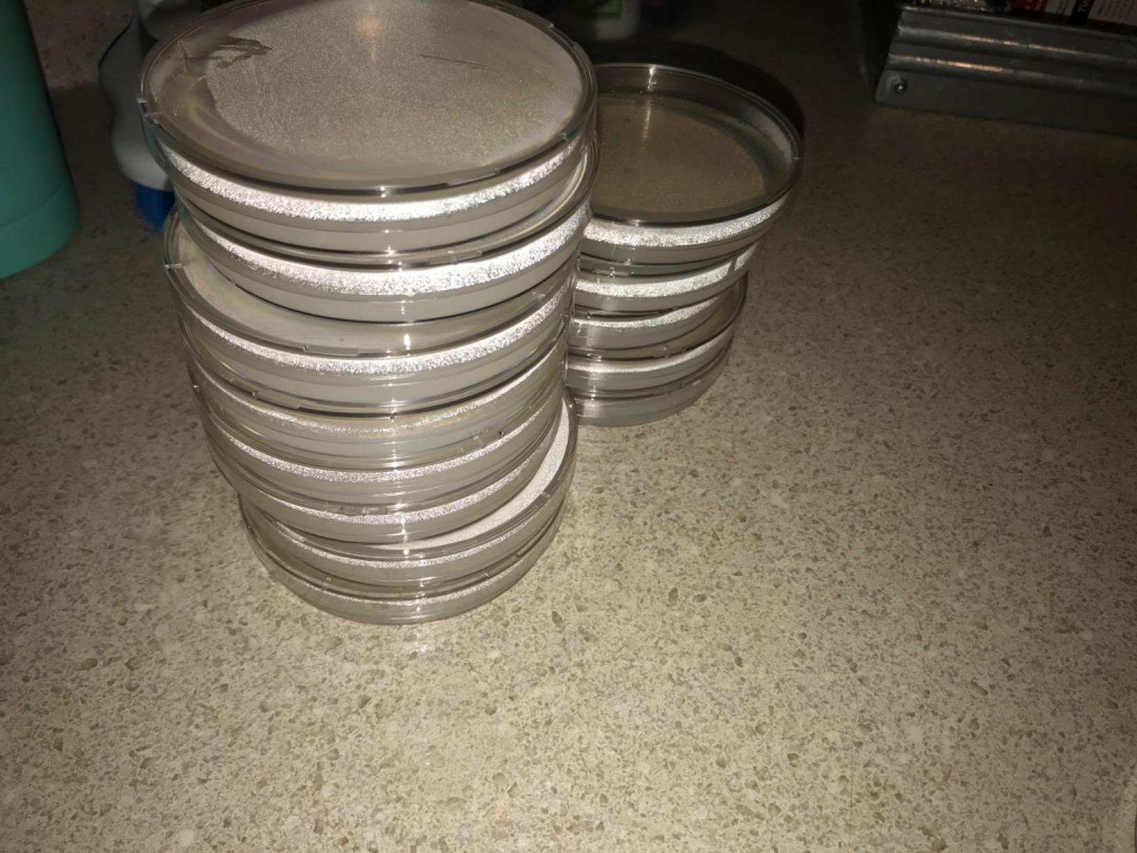 NOW Foods, Agar Pure Powder, Vegetarian Substitute for Gelatin, Gluten-free, Kosher, 5-Ounce customer photo 2