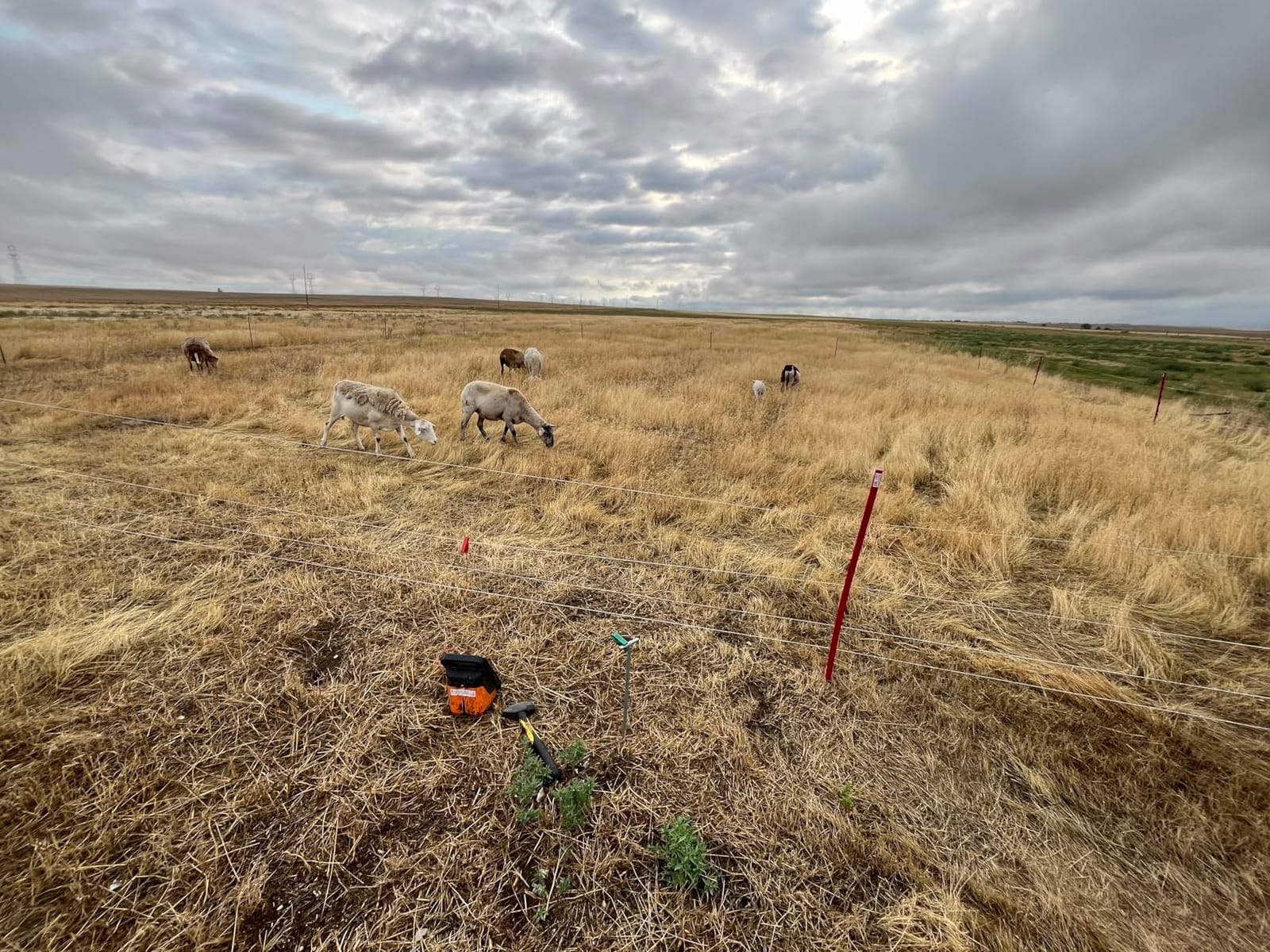 Gallagher Smart Fence 2 Portable Electric Fence for Livestock | 328ft of 4-Strand Electric Fencing, Built-In Posts and Reels, Quick Install Temporary Field Fencing customer photo 1