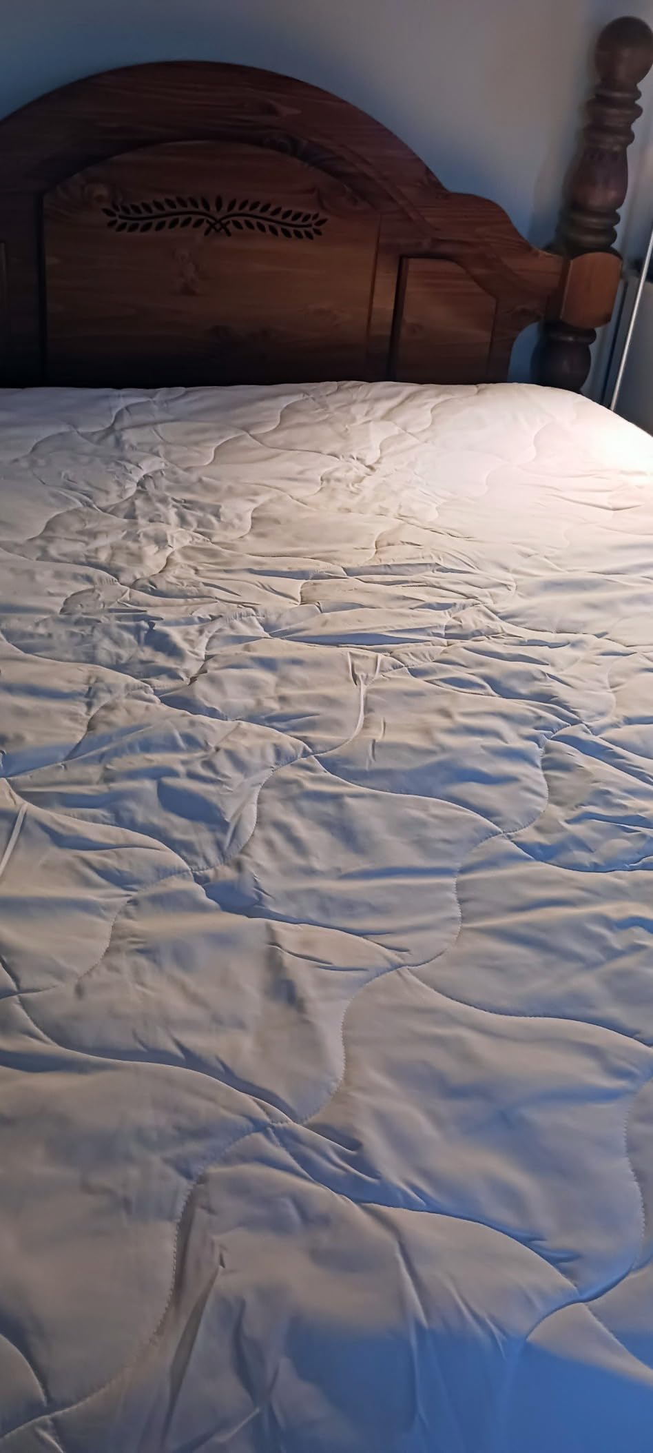 Guardmax Queen Mattress Protector Zippered, Bed Bug Mattress Cover | Waterproof, Dust Mite Proof, 6-Sided, Soft Jersey Knit, OEKO-TEX Certified, Machine Washable, Queen - 60 x 80, up to 13