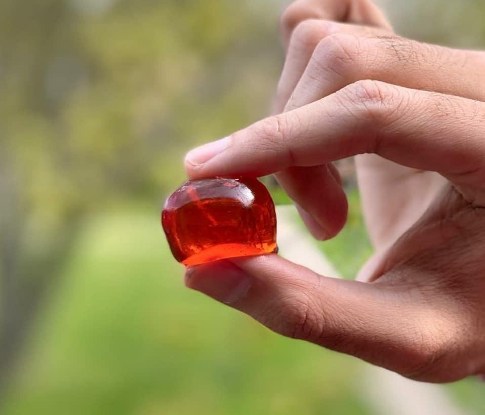 PREMIUM Molecular Gastronomy