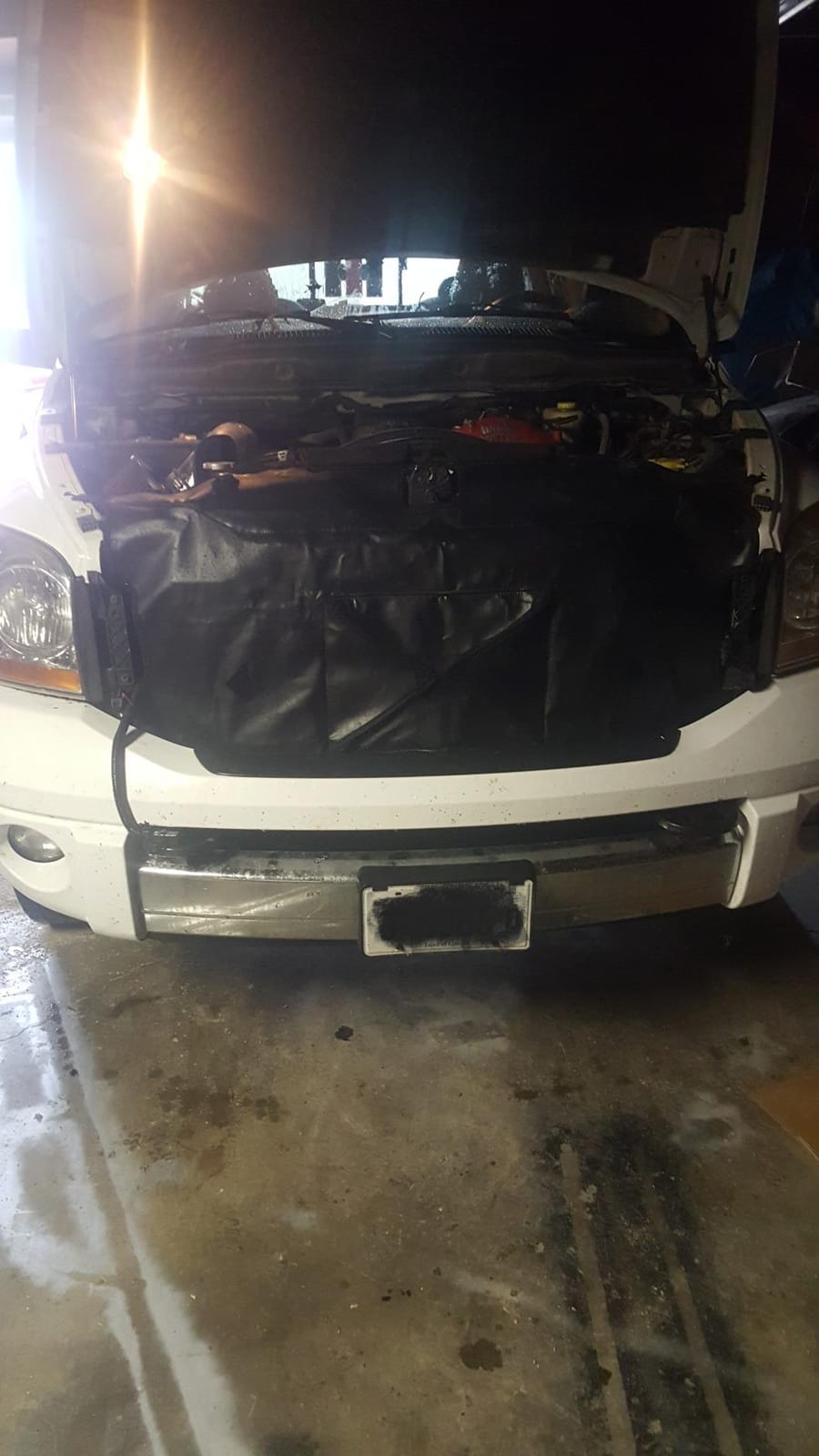 Mopar 2003-2009 Dodge Ram Diesel Cold Weather Cover - 82208646 customer photo 1