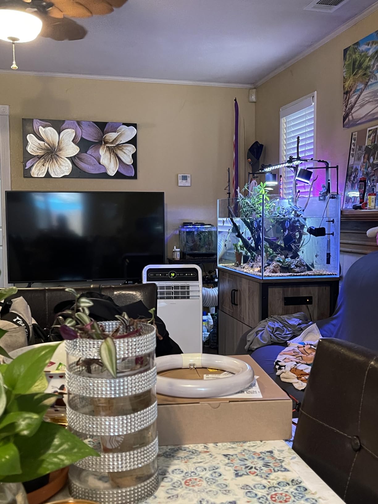 LANDEN Aquarium Cube 6.6 Gallon Ultra Clear Glass Rimless Fish Tank 30C | 11.8x11.8x11.8in (30x30x30cm), 5mm Low Iron Glass, Leveling Mat Included, Small Aquascape Tank for Aquatic Plant Betta customer photo 1