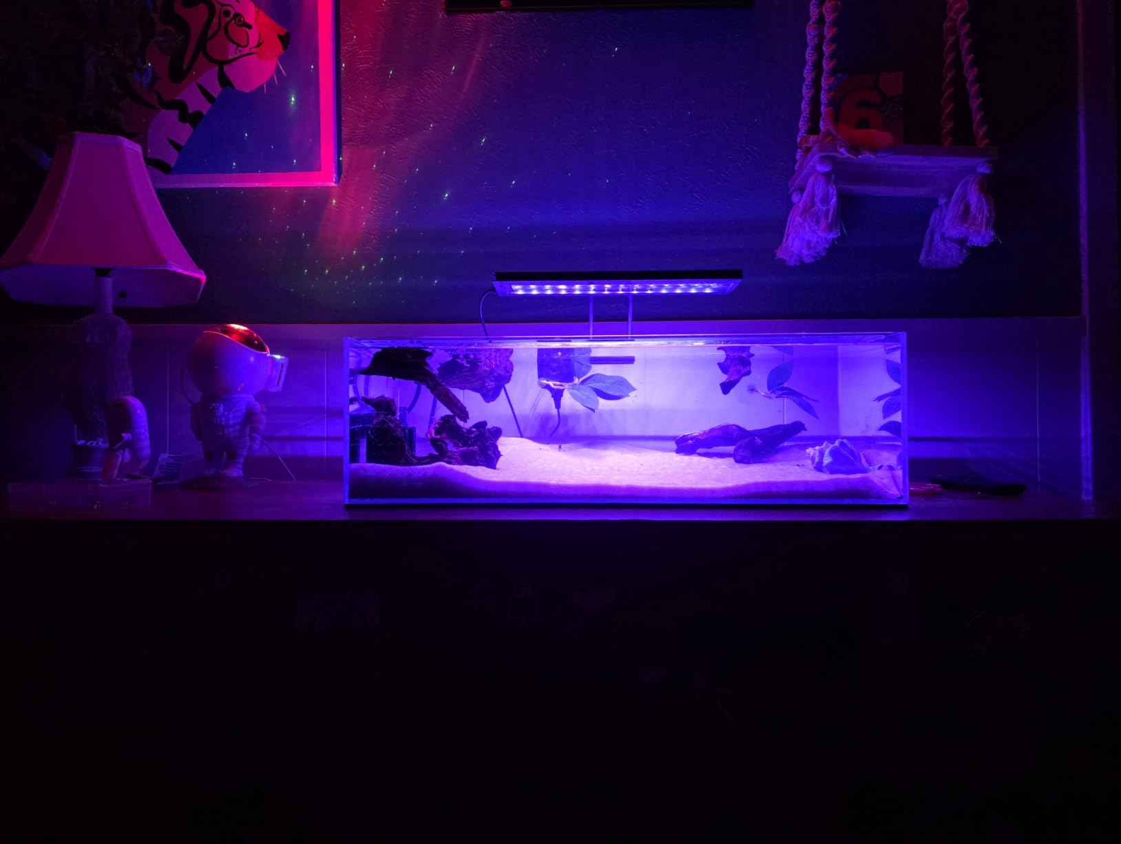 LANDEN Aquarium Cube 6.6 Gallon Ultra Clear Glass Rimless Fish Tank 30C | 11.8x11.8x11.8in (30x30x30cm), 5mm Low Iron Glass, Leveling Mat Included, Small Aquascape Tank for Aquatic Plant Betta customer photo 2