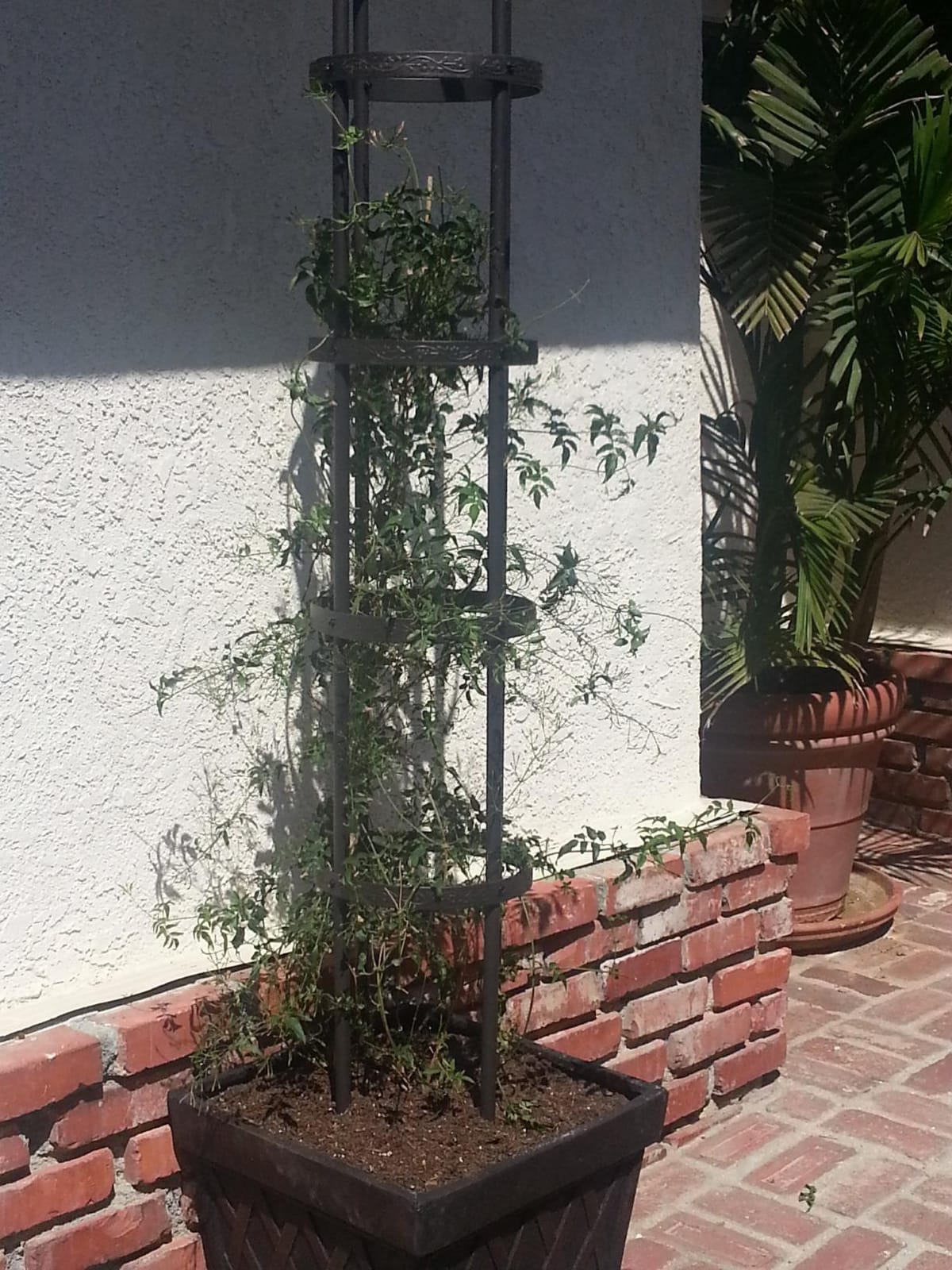 Plow & Hearth Metal Garden Obelisk | Indoor/Outdoor | Powder-Coated Steel | Trellis for Climbing | Floral Pattern | 11
