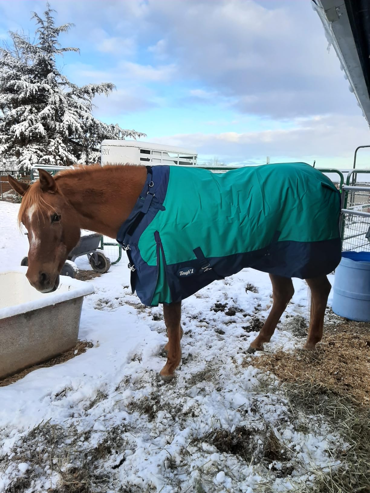TOUGH1 1200D Turnout Blanket with SNUGGIT, 300-G, Burgundy, 78-in customer photo 1