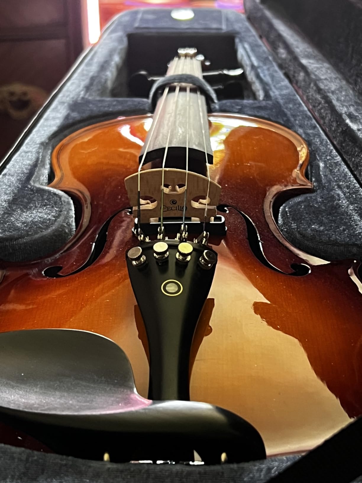 Cecilio 4/4 Full Size Acoustic & Electric Violin for Beginners & Professionals, Hand-Carved Solid Spruce Top, Ebony Fine Tuners, Full Set with Case, Bow, Rosin & AUX Cable (Metallic Black) customer photo 1