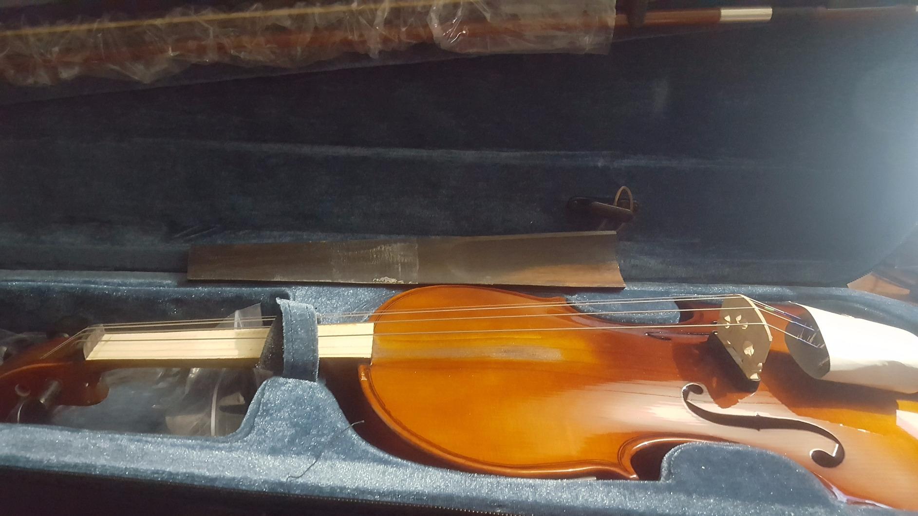 Cecilio 4/4 Full Size Acoustic & Electric Violin for Beginners & Professionals, Hand-Carved Solid Spruce Top, Ebony Fine Tuners, Full Set with Case, Bow, Rosin & AUX Cable (Metallic Black) customer photo 2