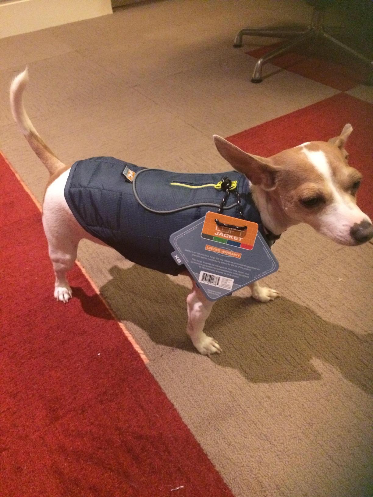 Kurgo Loft Dog Jacket, Coastal Blue/Orange, Medium | Reversible Dog Coat, Great for Cold Weather, Water-Resistant, Lightweight, Reflective Trim, 2-Way Zipper for Harness Access customer photo 2
