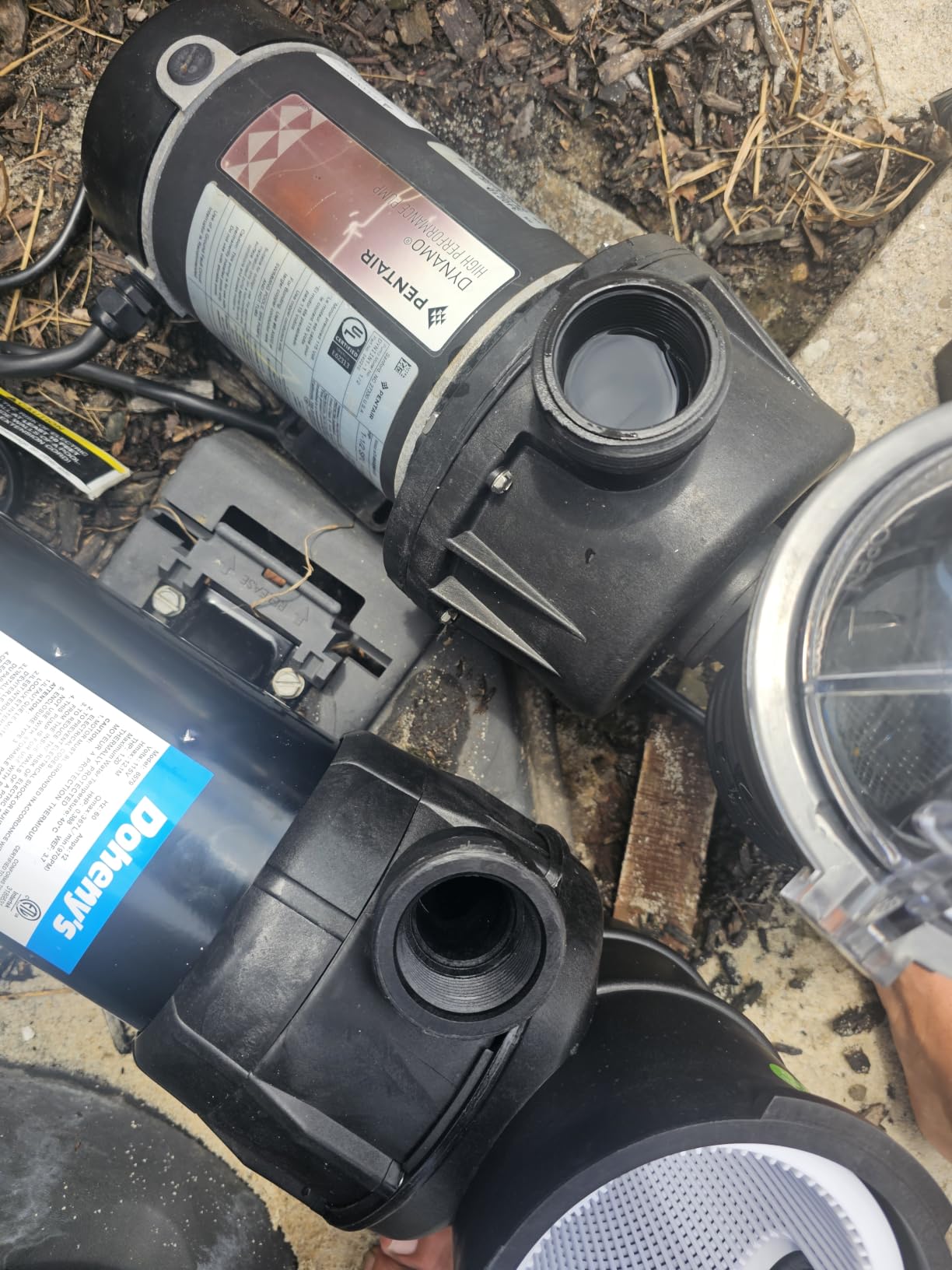 Doheny's 1.5 HP Above Ground Swimming Pool Pump | 115V, 83 GPM (1.2 THP), Stainless Steel Shaft, Reinforced Thermoplastic, Low-Noise, High-Efficiency customer photo 1