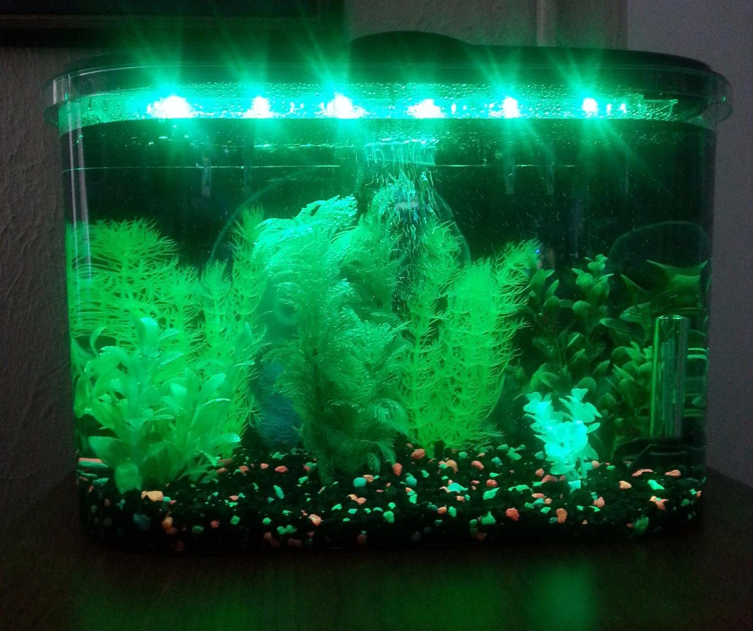 Koller Products 5-Gallon Aquarium Kit with LED Lighting and Power Filter, Ideal for a Variety of Tropical Fish customer photo 1