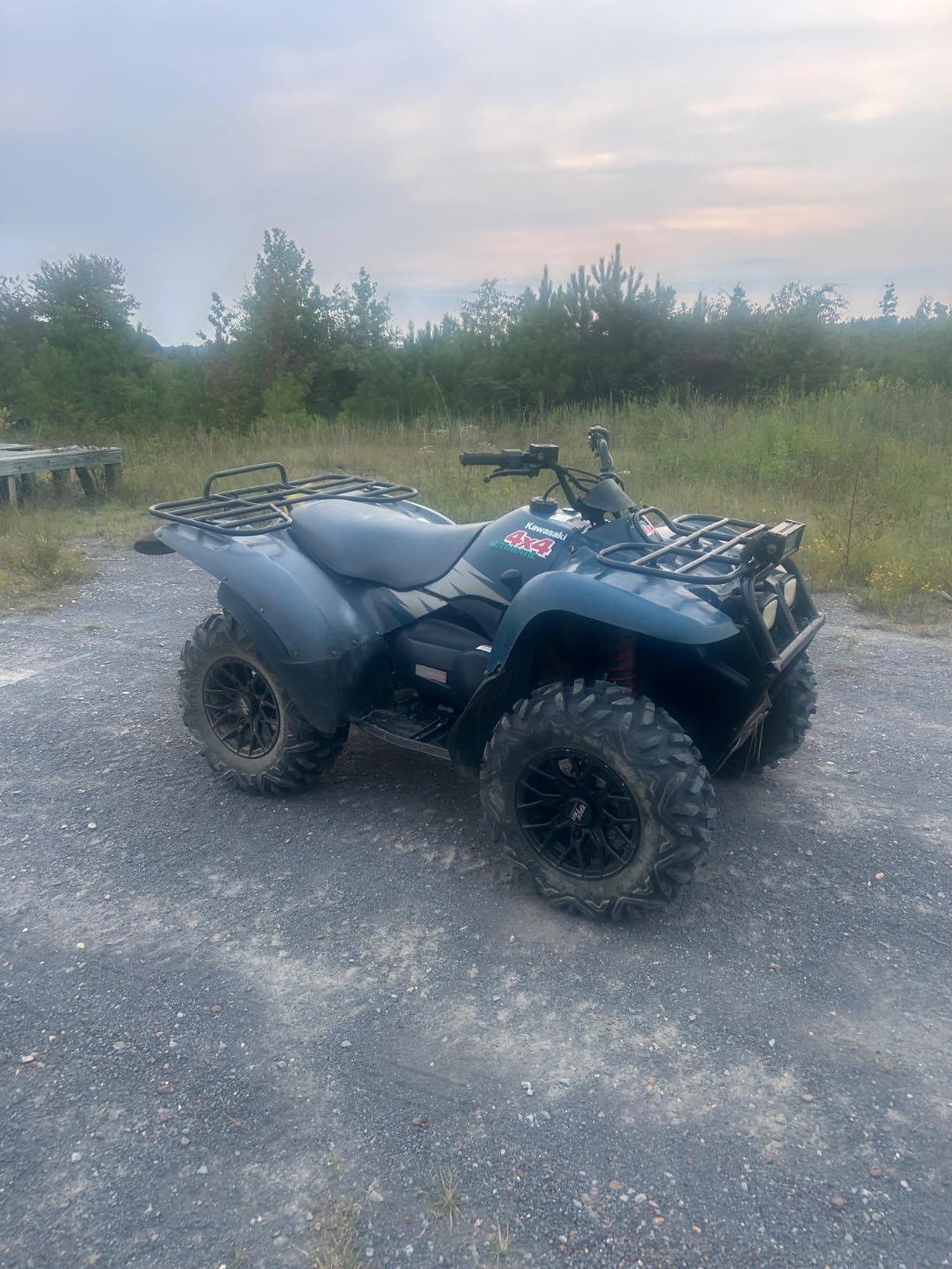 WANDA Set 4 ATV/UTV Tires 25x8-12 & 25x10-12 /6PR Power-Trail 10375/10376 customer photo 1