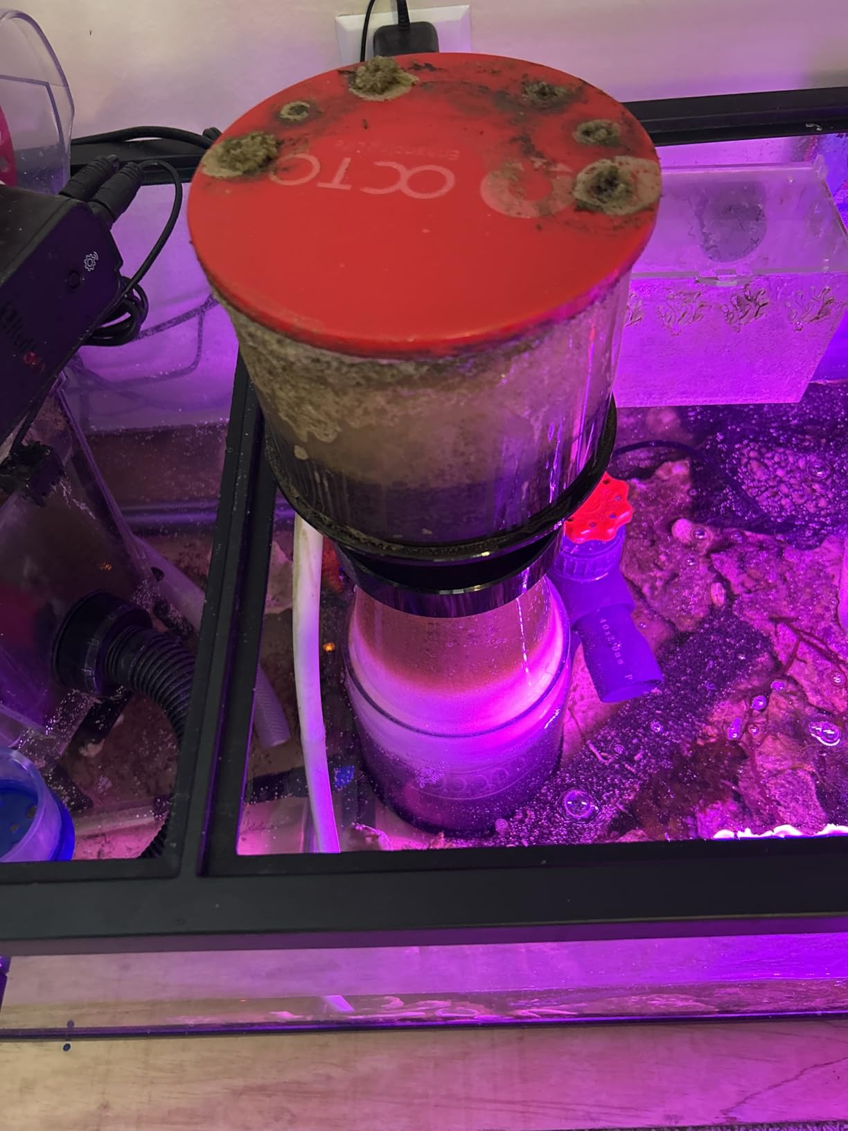 Reef Octopus Classic 150INT Protein Skimmer customer photo 1