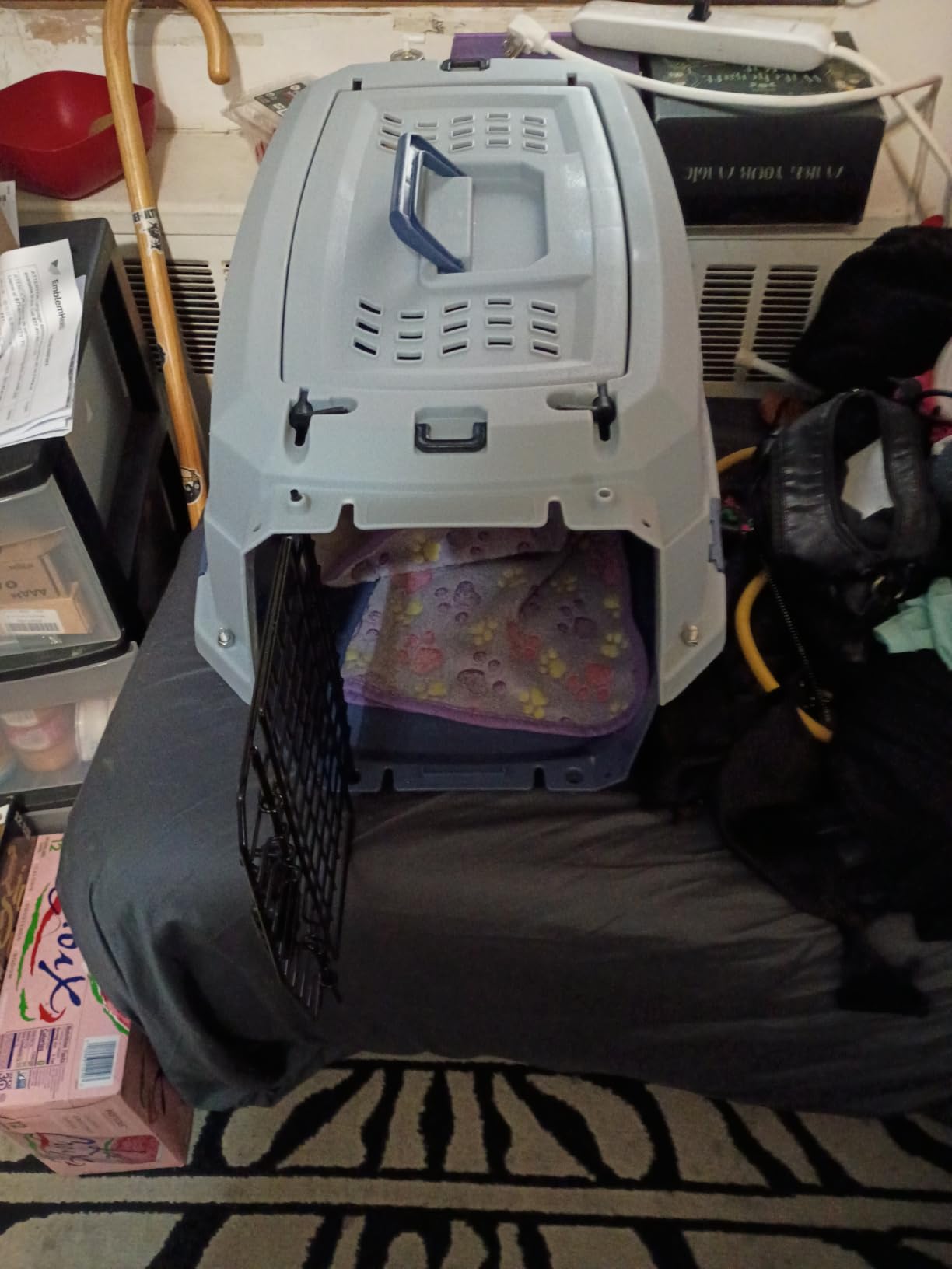 Amazon Basics Sturdy Portable 2-Door Top-Load Hard-Sided Pet Travel Carrier with Secure Ventilation, Handle, Front & Top Entry for Dogs, Cats, 22.8