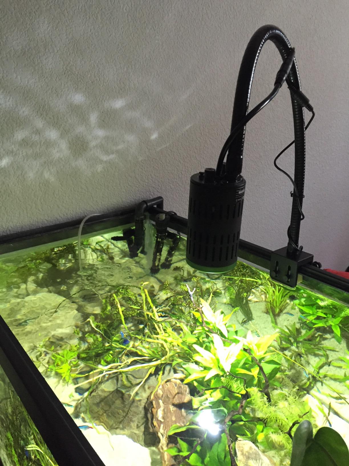 Kessil A160WE Controllable LED Aquarium Light, Tuna Blue customer photo 1