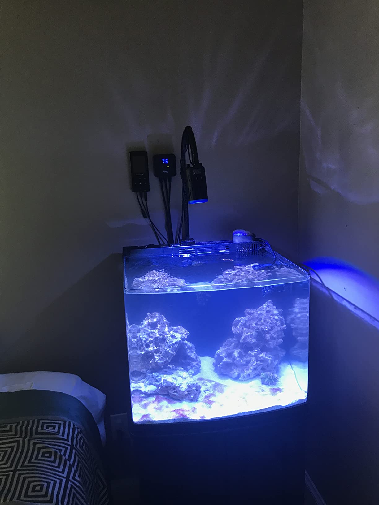 Kessil A160WE Controllable LED Aquarium Light, Tuna Blue customer photo 2