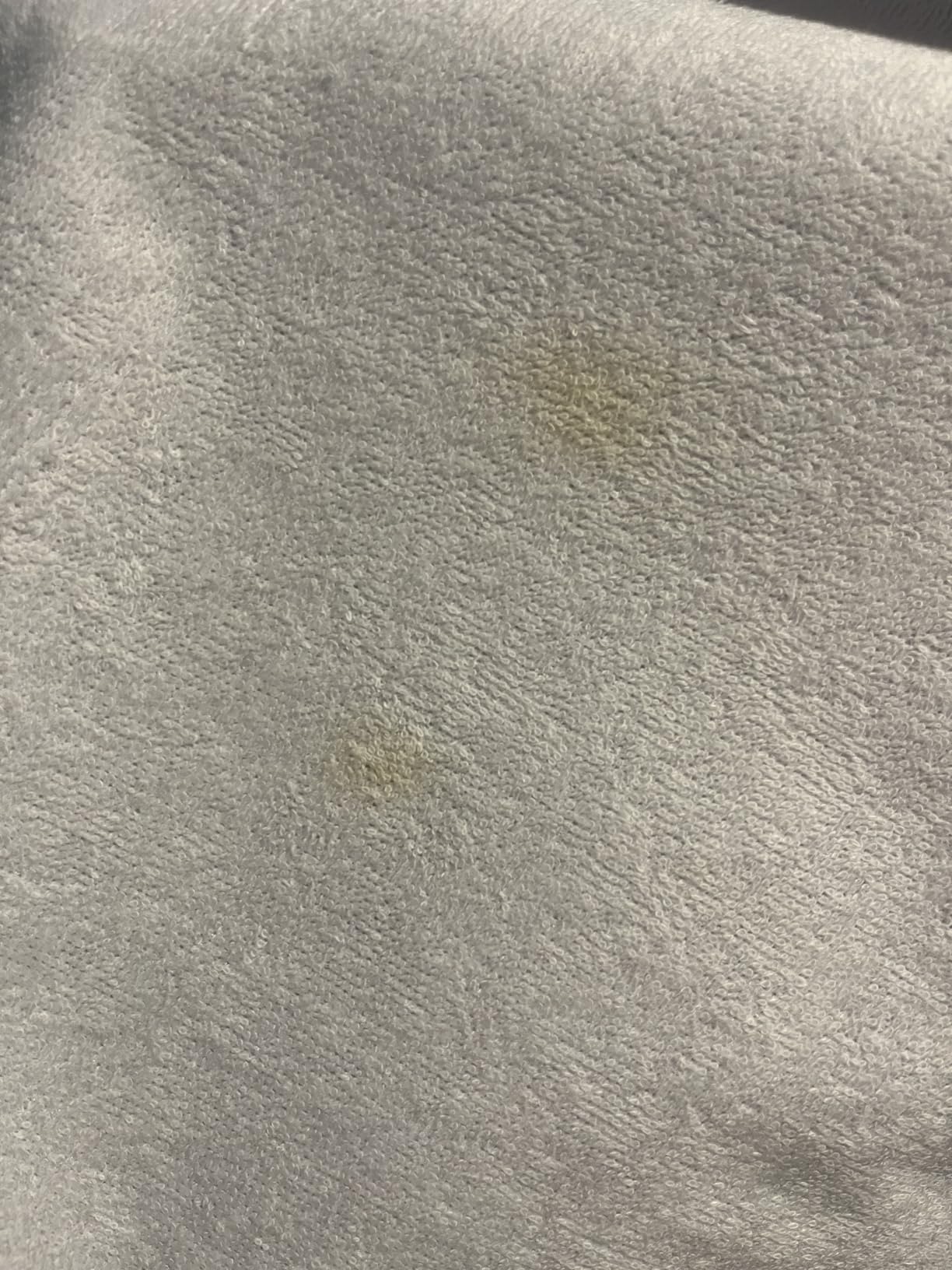 Queen (13-16 in. Deep) SureGuard Mattress Encasement - 100% Waterproof, Bed Bug Proof, Hypoallergenic - Premium Zippered Six-Sided Cover customer photo 1