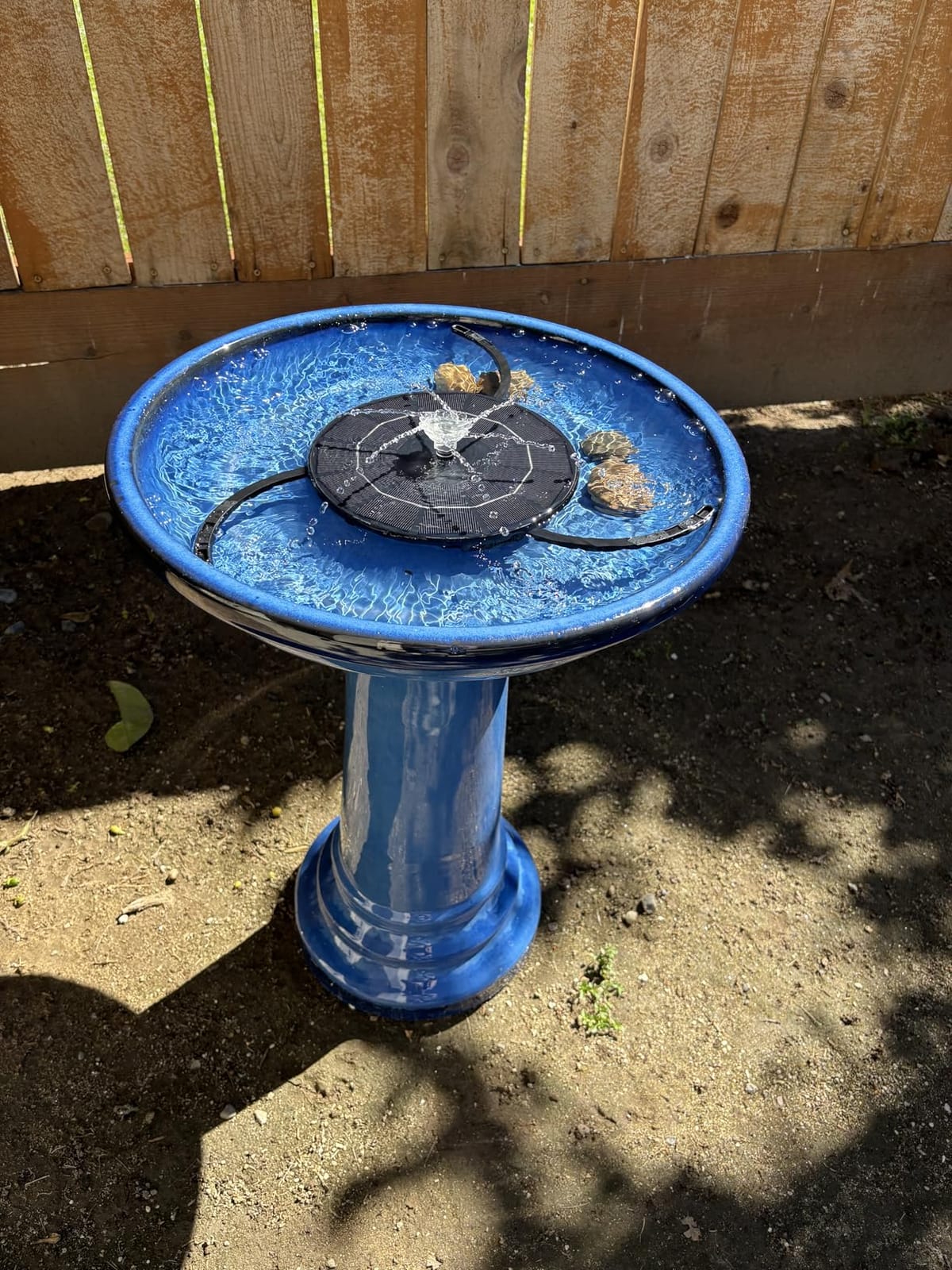 Smart Solar Aviatra Outdoor Ceramic Birdbath with Pedestal Stand and Glossy Finish, Elegant Traditional Birdbath for Garden, Blue customer photo 2
