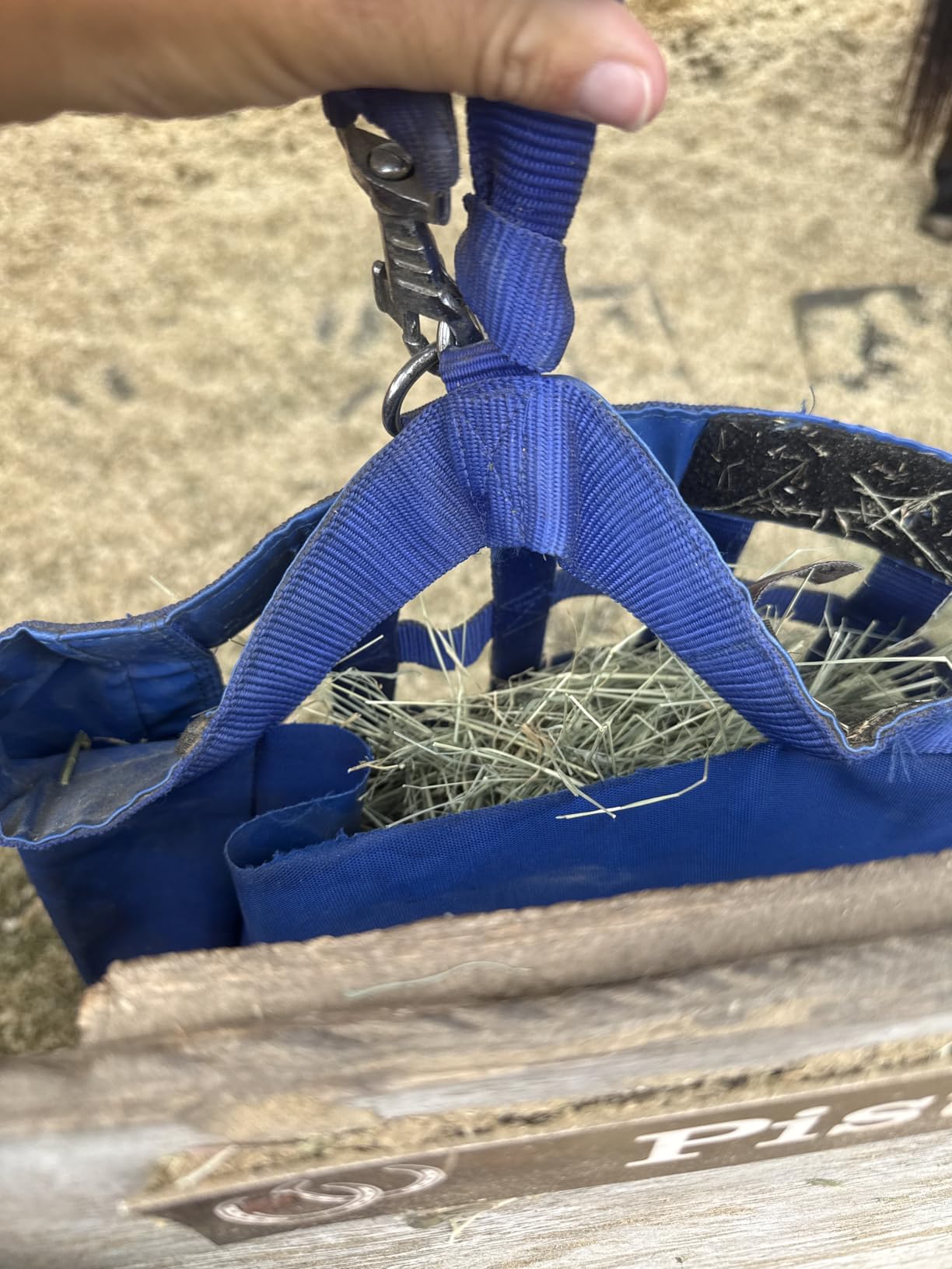 Derby Originals Front Web Slow Feeder Horse Hay Bag Super Tough Bottom with 6 Month Warranty customer photo 1