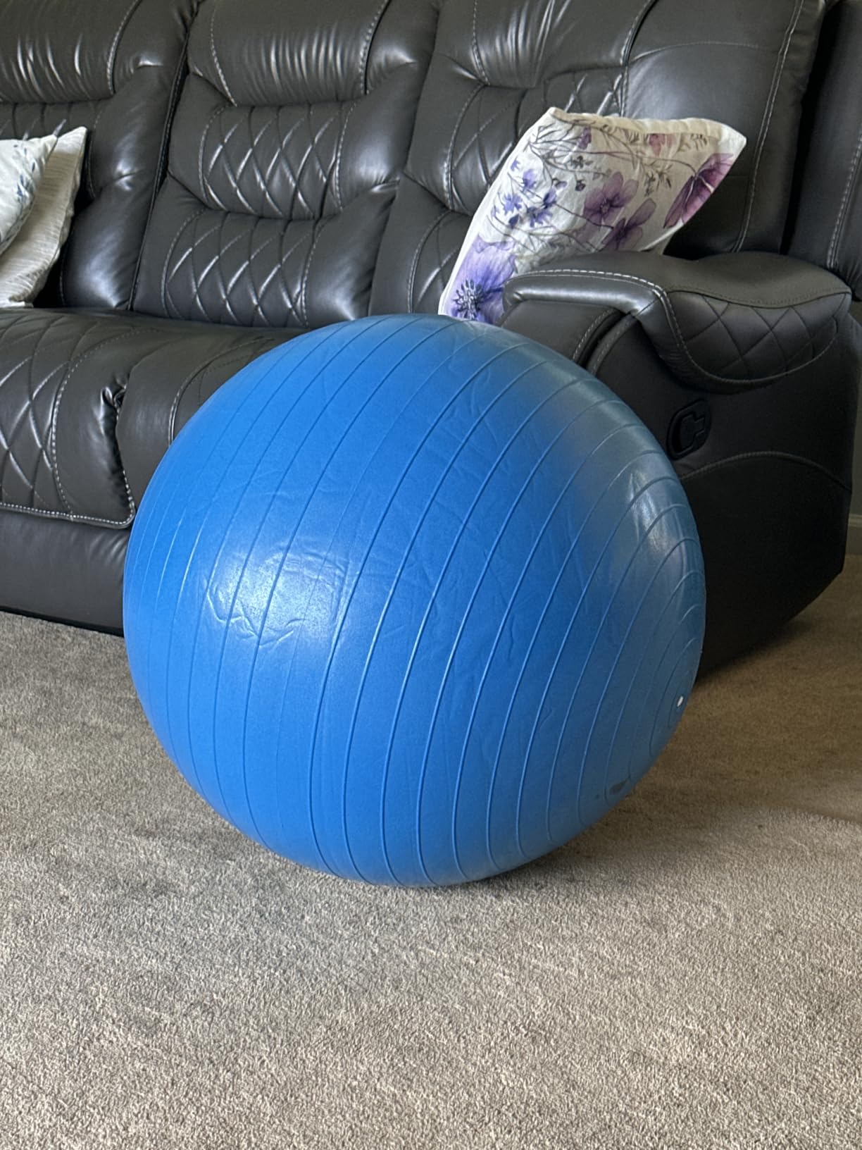 ProBody Pilates Yoga Ball - Gym Grade Exercise Ball | Sizes 45/55/65/75/85 cm, 880 lb Load, CA 10P Cert, PT & Prenatal Use, Recommended by OBs, Pump customer photo 2