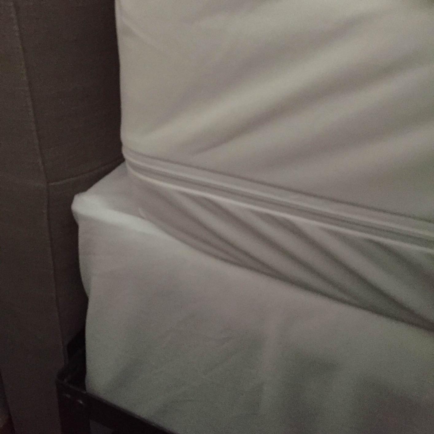 HOSPITOLOGY PRODUCTS Mattress Encasement - Zippered Bed Bug Dust Mite Proof Hypoallergenic - Sleep Defense System - Queen - Waterproof - Stretchable - Standard 12