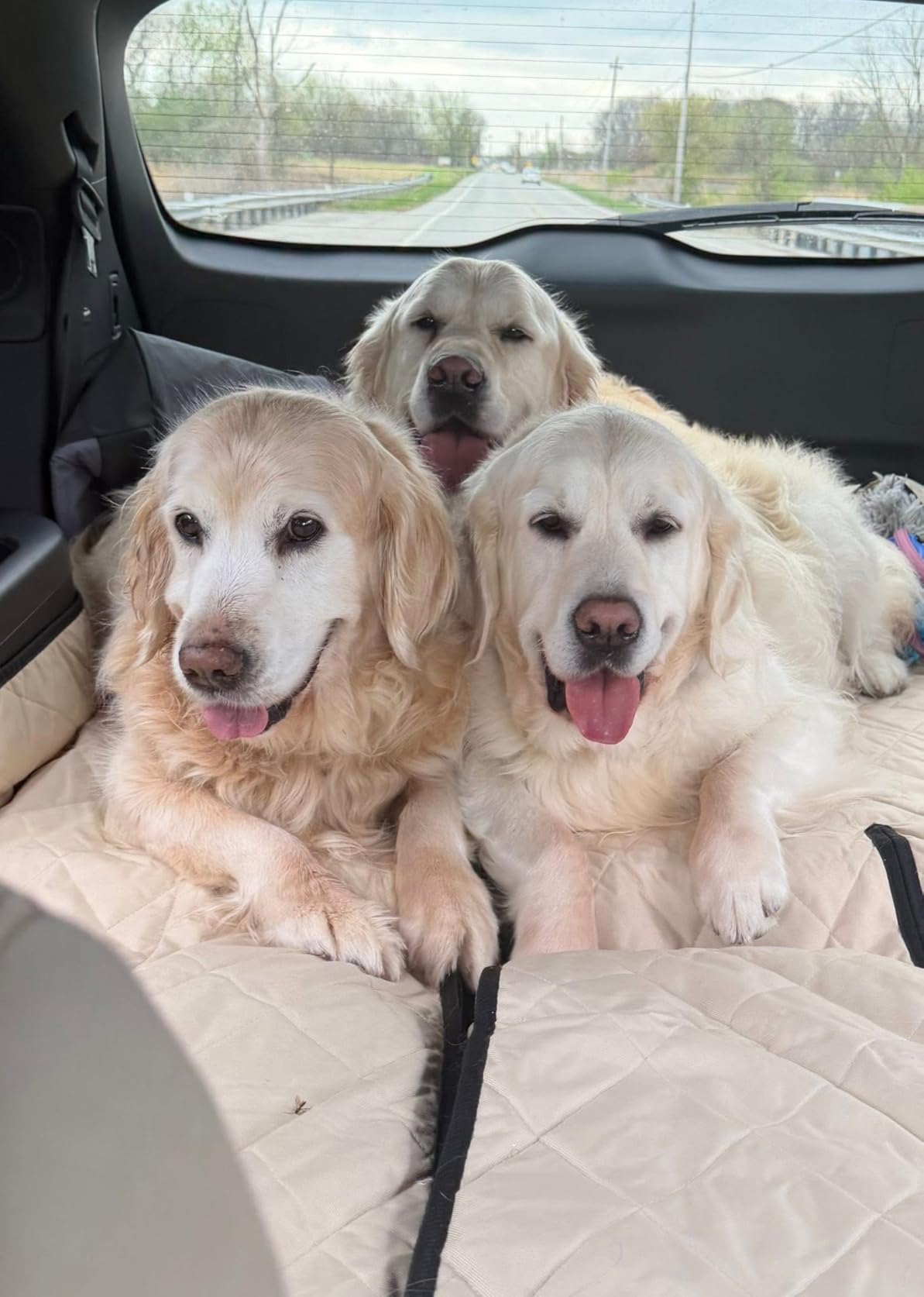 4Knines SUV Cargo Liner for Dogs, Fold Down Seats, Black Large | Heavy-duty K9-Shield waterproof protection customer photo 1