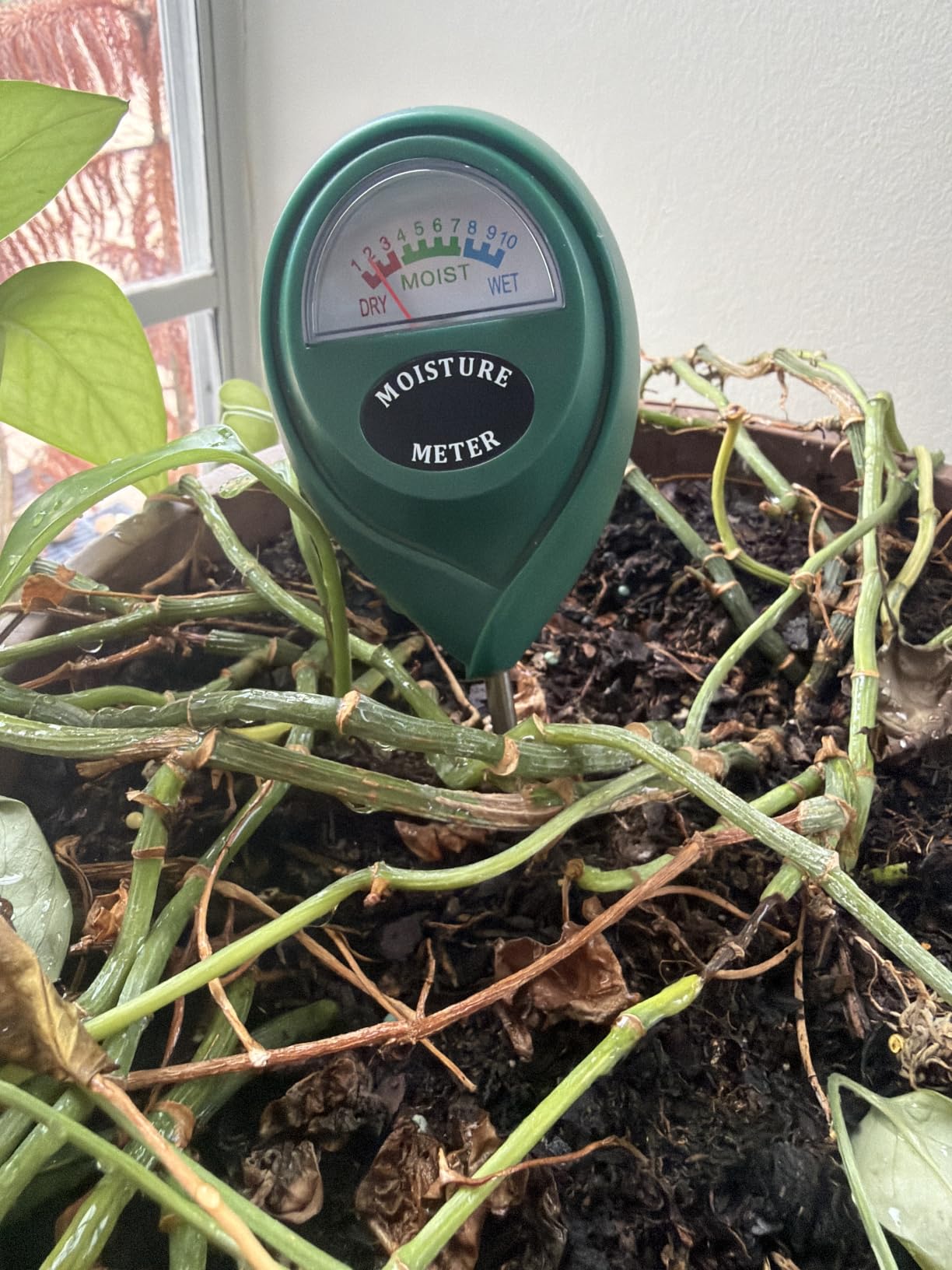 XLUX Plant Soil Moisture Meter, for Indoor and Outdoor use, Battery-Free, Anti-rust 304 SST Probe customer photo 1