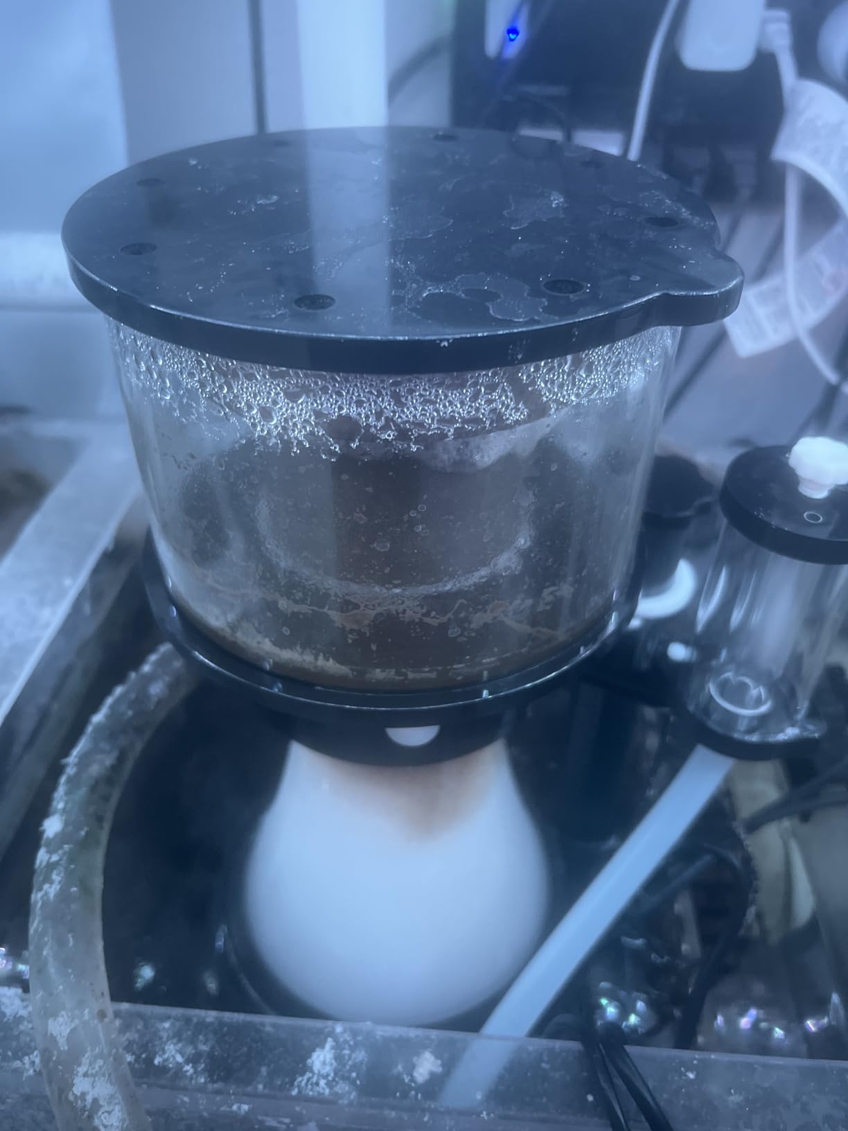 Simplicity 240DC Protein Skimmer for Saltwater Aquariums customer photo 1
