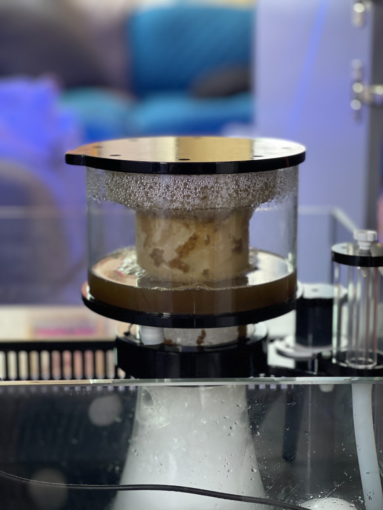 Simplicity 240DC Protein Skimmer for Saltwater Aquariums customer photo 2