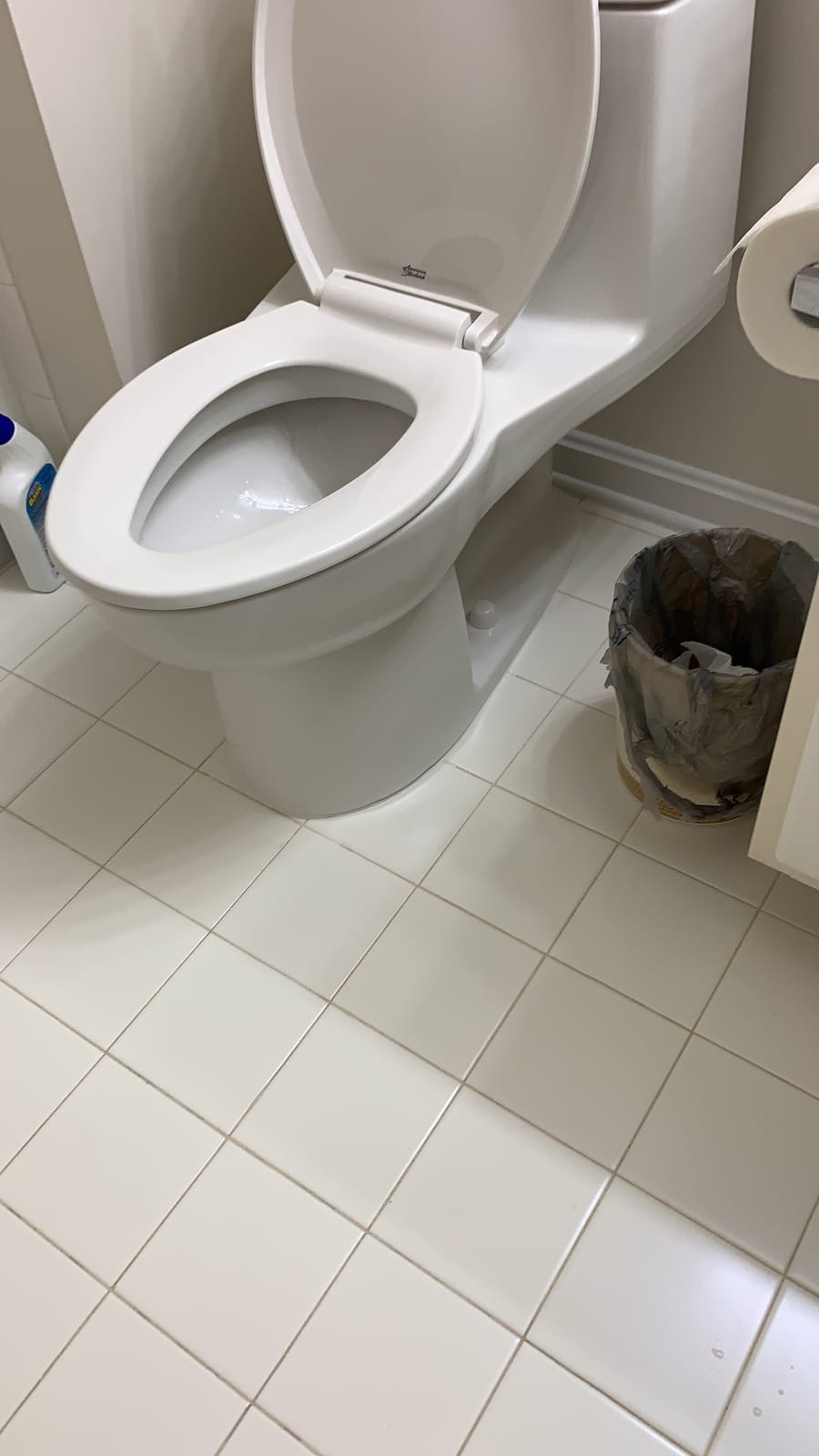 American Standard Champion 4 One Piece Elongated Toilet, 1.6 GPF, White customer photo 1