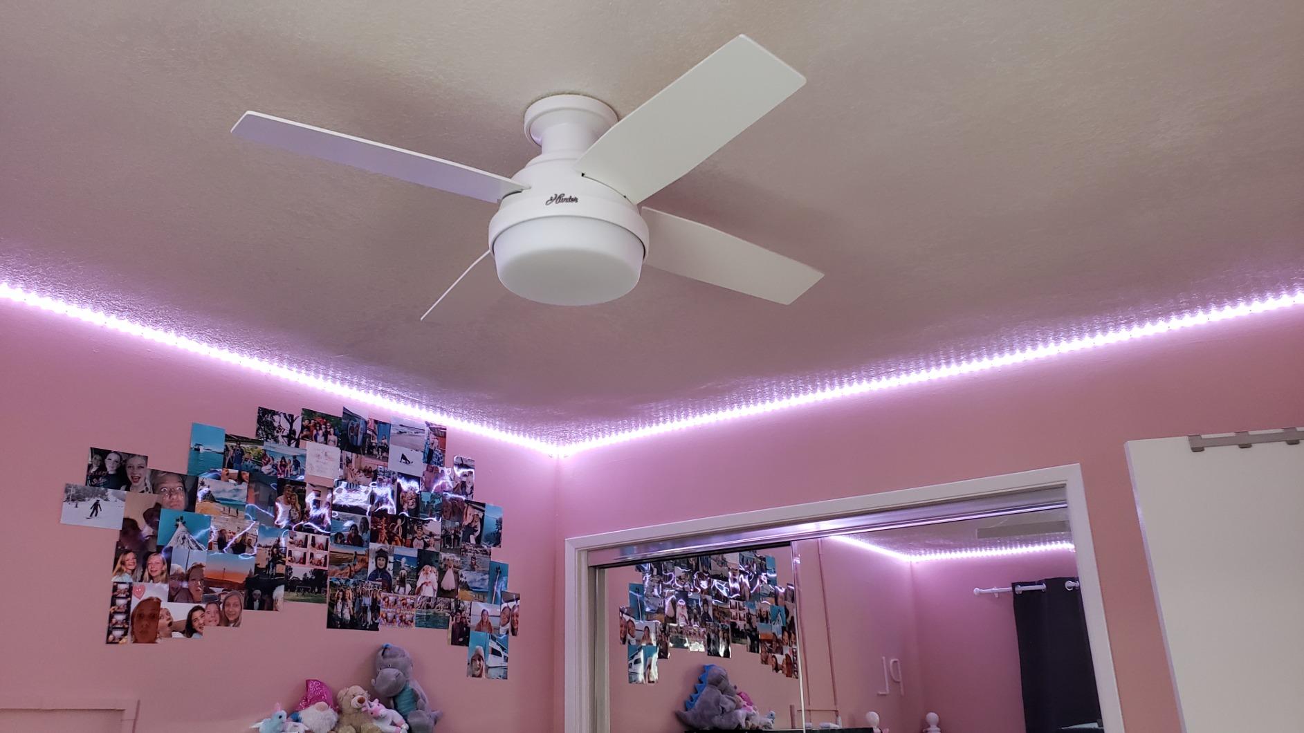 Hunter Dempsey, Indoor, Ceiling Fan, Modern, Quiet, 44 inch, Fresh White | with LED Light and Remote Control, Low Profile Mount, 4 Blades, For Bedroom, Living Room, Kitchen, 59244 customer photo 2