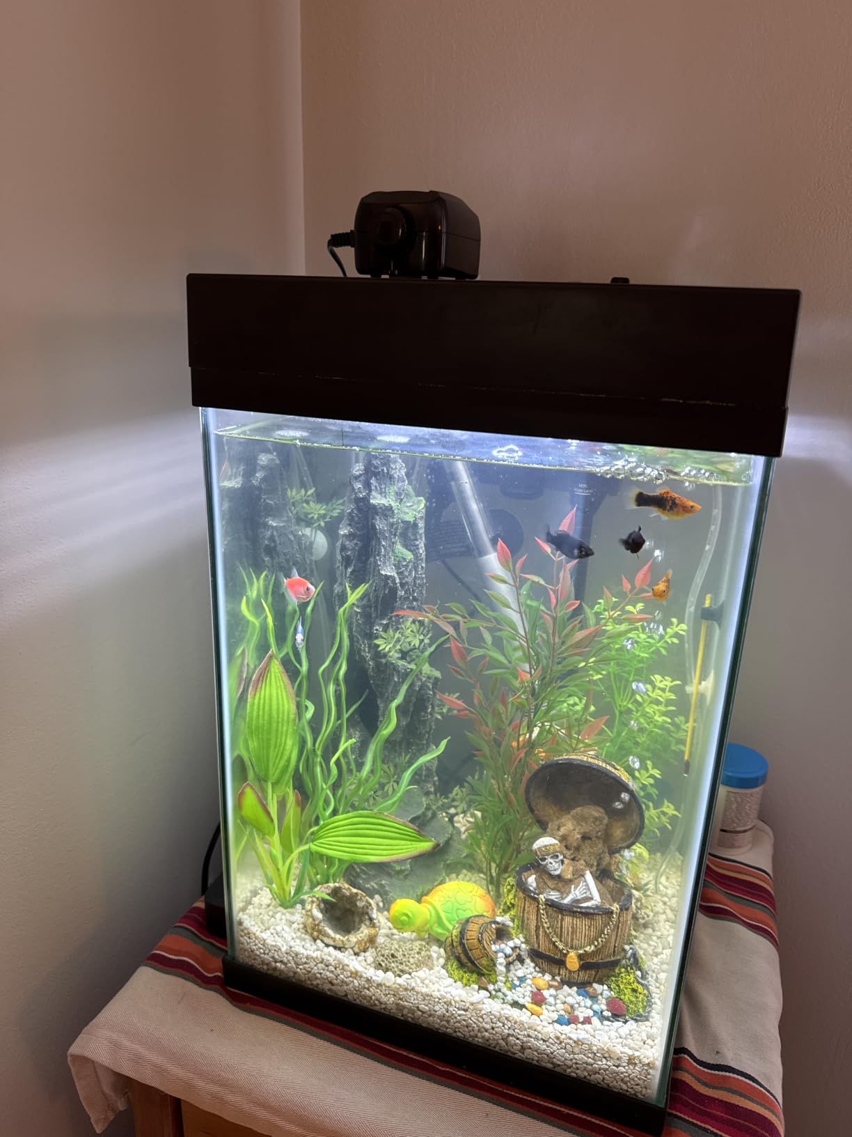 Uniclife Aquarium Air Pump Dual Outlet Fish Tank Aerator with Accessories for 5-200 Gallon Tank customer photo 2