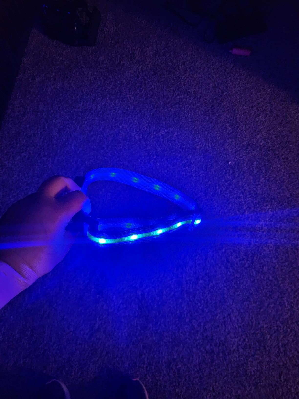Blazin Light Up Dog Collar - The Original LED Dog Collar - USB Rechargeable - Waterproof - 1,000 Feet of Visibility - Dog Collar Light for Small, Medium, Large Dogs - USA Brand customer photo 1