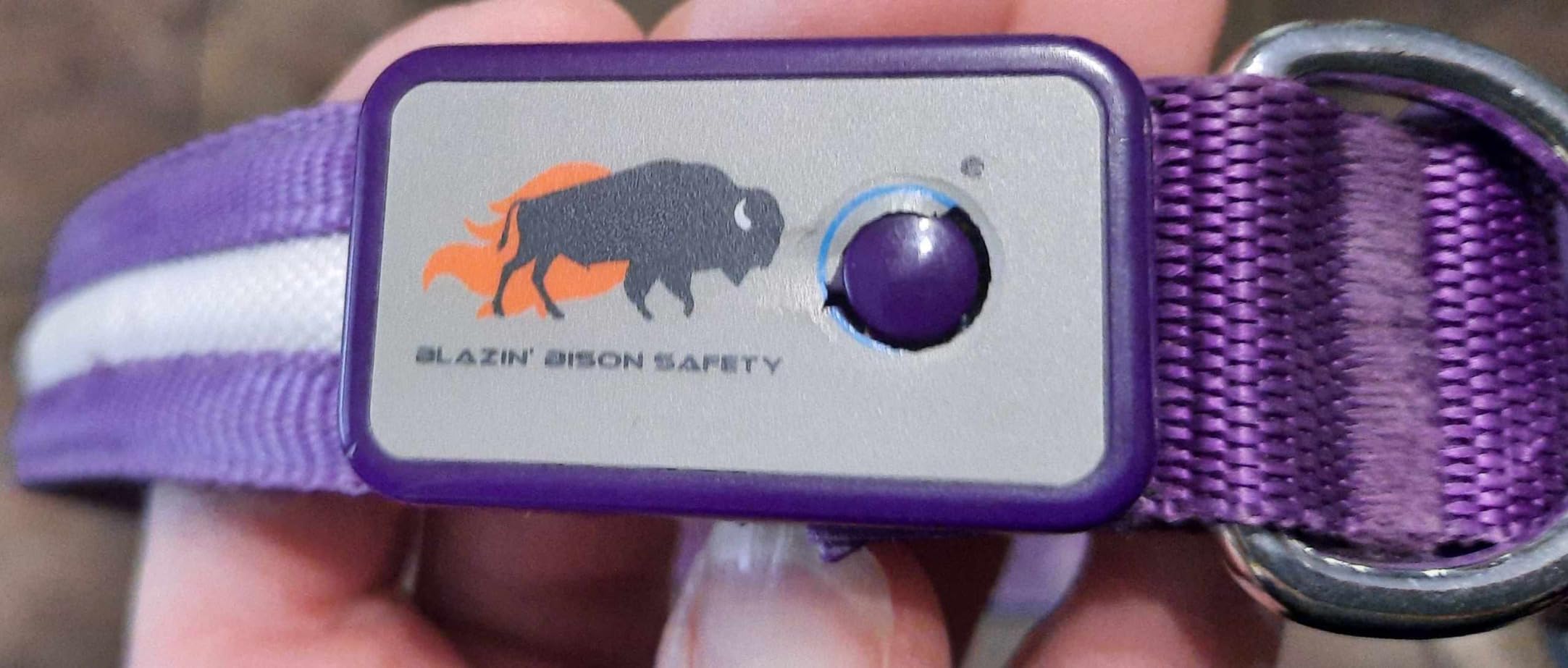 Blazin Light Up Dog Collar - The Original LED Dog Collar - USB Rechargeable - Waterproof - 1,000 Feet of Visibility - Dog Collar Light for Small, Medium, Large Dogs - USA Brand customer photo 2