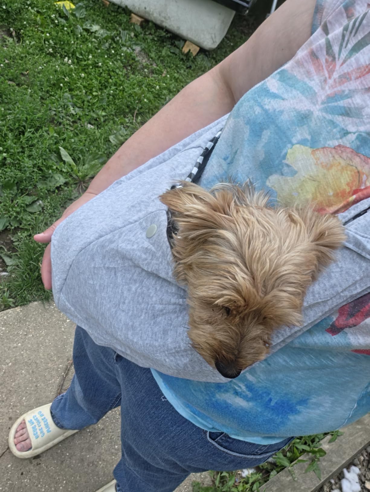 CUBY Dog and Cat Sling Carrier - Hands Free Reversible Pet Papoose Bag - Soft Pouch and Tote Design - Suitable for Puppy, Small Dogs Cats Outdoor customer photo 1