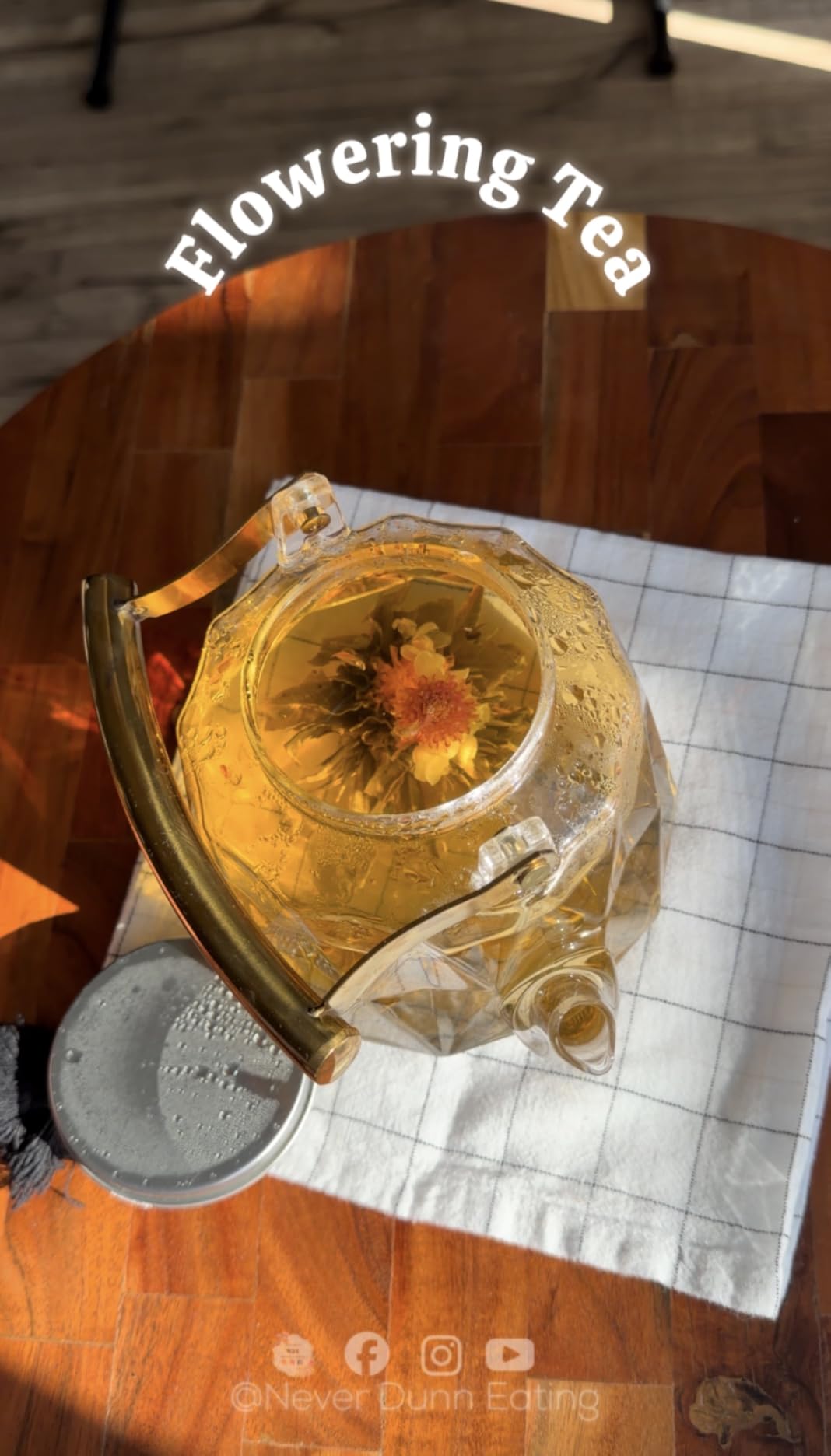 Teabloom Flowering Tea - 12 Unique Varieties of Fresh Blooming Tea Flowers - 12-Pack Gift Canister customer photo 1