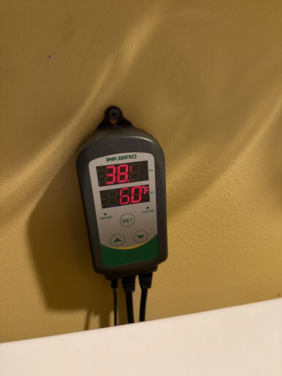 Inkbird ITC-308 Digital Temperature Controller Thermostat | 110V 10A 1100W 2-Stage Outlet with Heating and Cooling Mode for Carboy Homebrew Fermenter Greenhouse Terrarium customer photo 2
