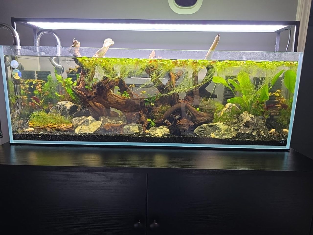 Ultum Nature Systems Ultra Clear Rimless Nano Aquarium - Low Iron Glass Fish Tank with 45° Mitered Edges, 5mm-12mm Thick, Leveling Mat Included (5N, 5 Gallon) customer photo 1