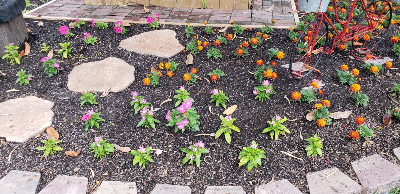 Edward Tools Bulb Planter - Bend Free Tool for Planting Bulbs, Depth Marker for More consistent Planting Tulips, Daffodils, Dahlias (Assorted) customer photo 1