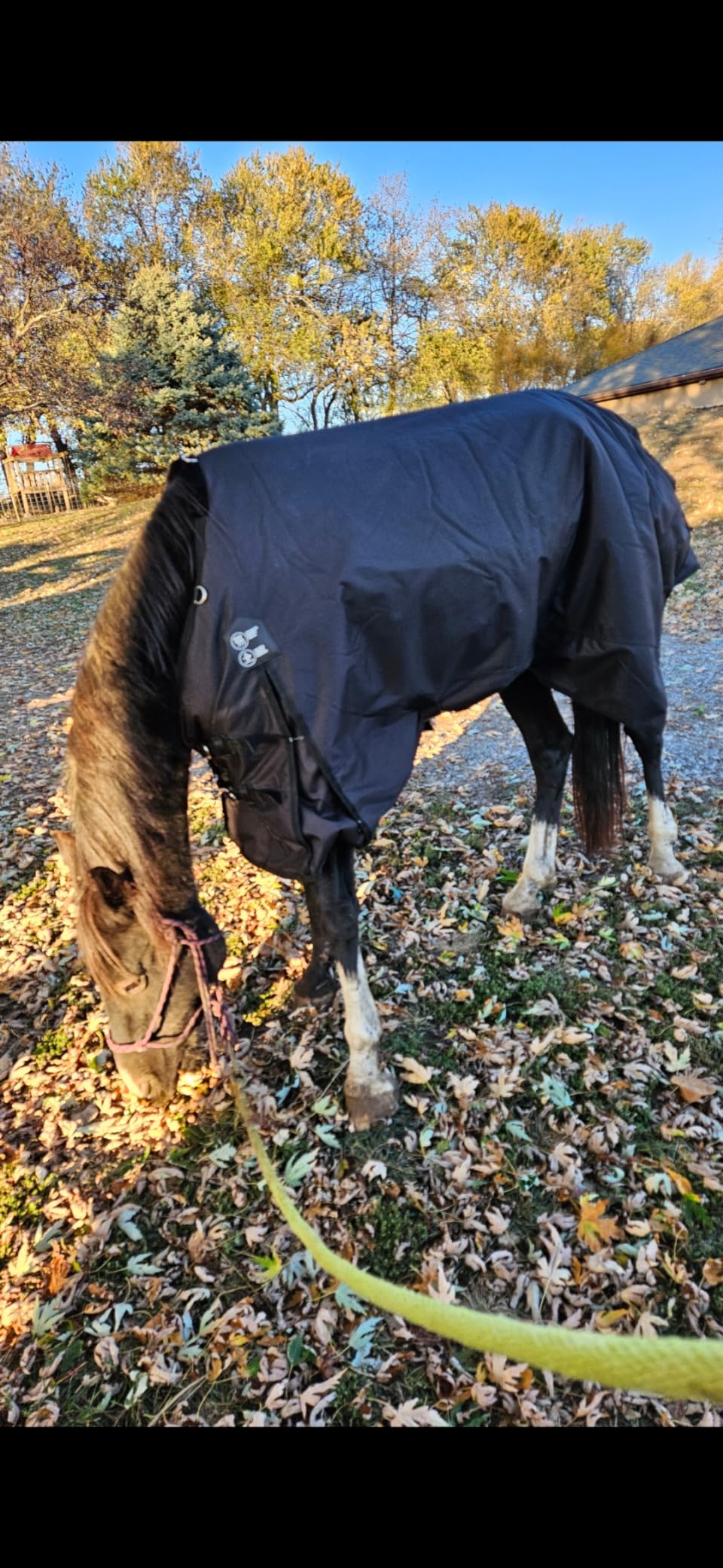 Horze Nevada Horse Blankets for Real Horses - Heavy Weight 400g Fill Winter Turnout customer photo 1