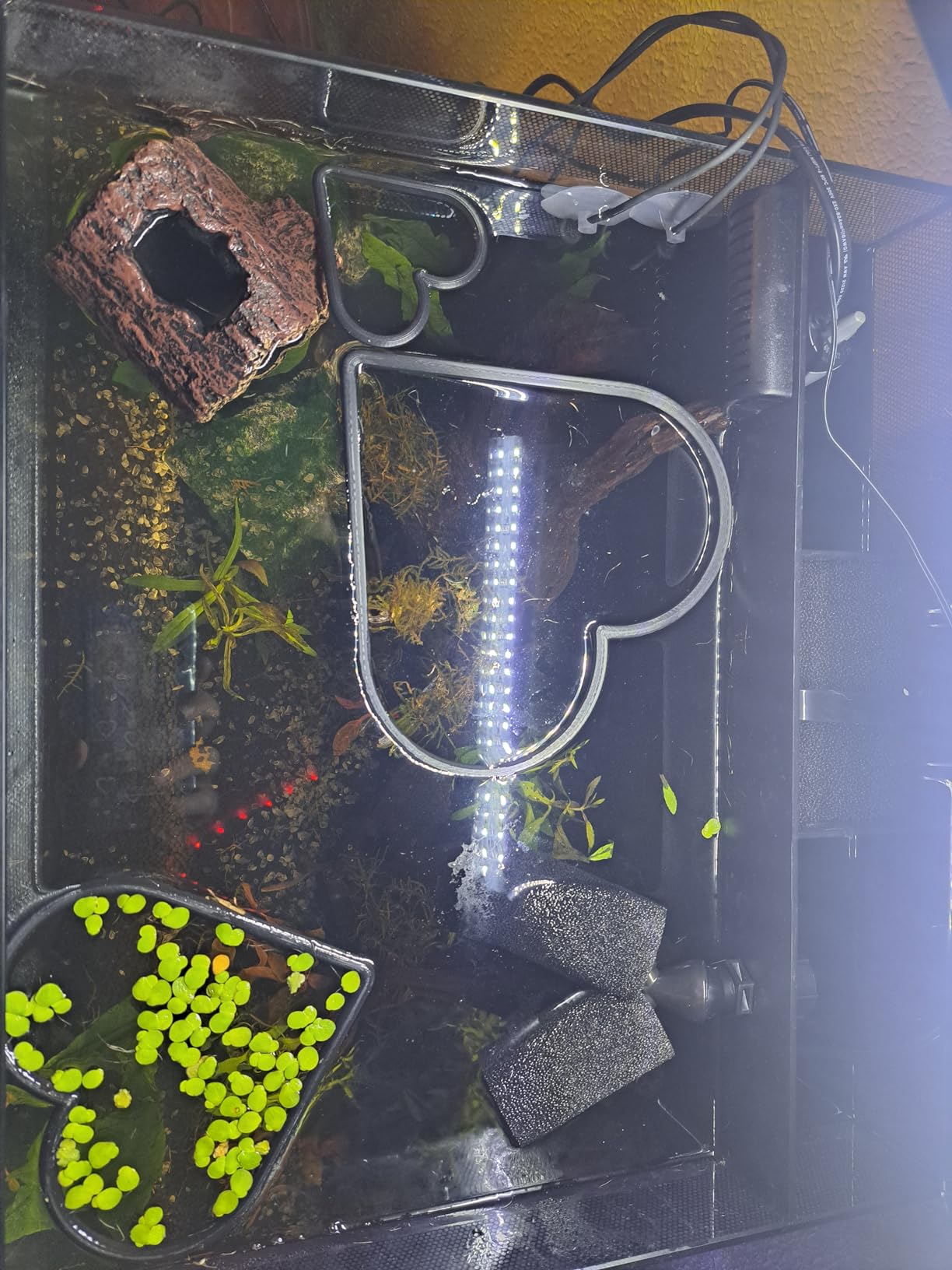 Fluval Flex 57 - 15 Gallon Nano Glass Aquarium Kit customer photo 1